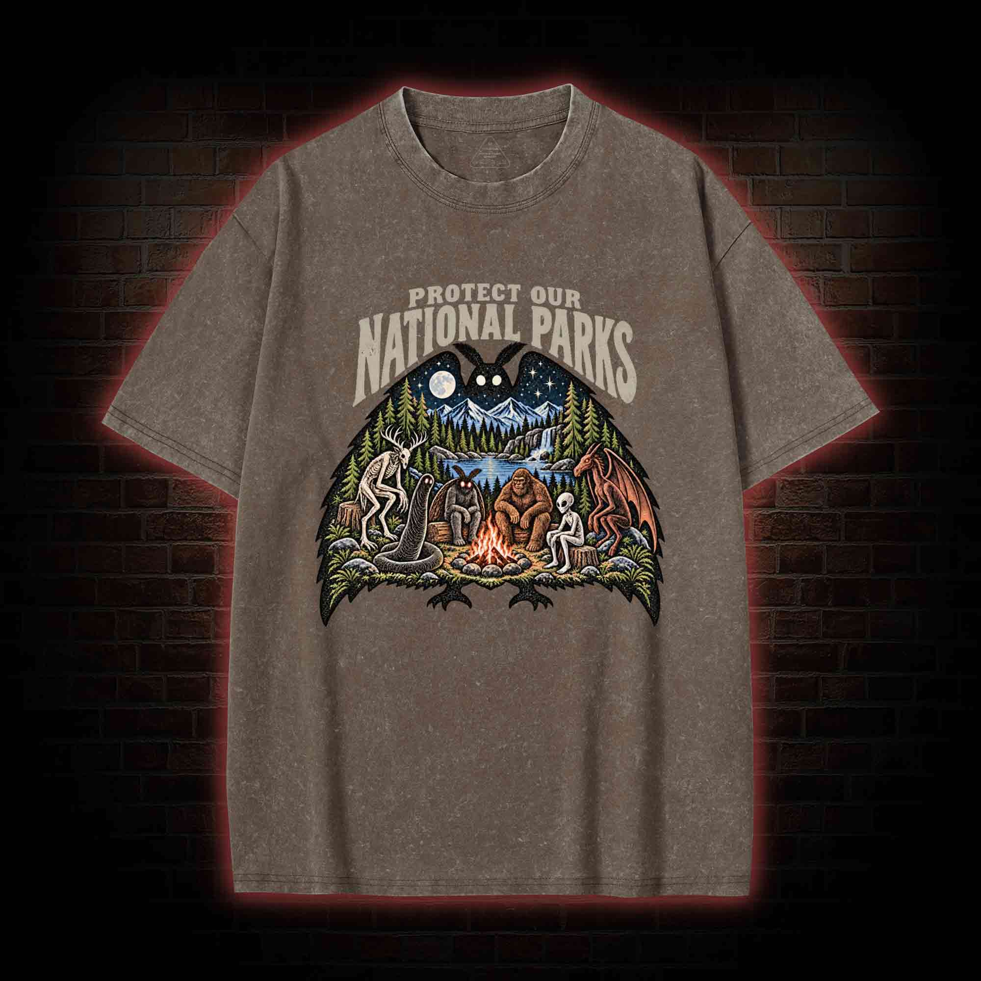 Protect Our National Parks Washed T-shirt