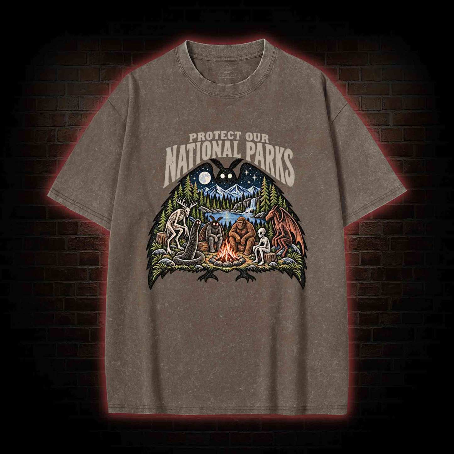 Protect Our National Parks Washed T-shirt