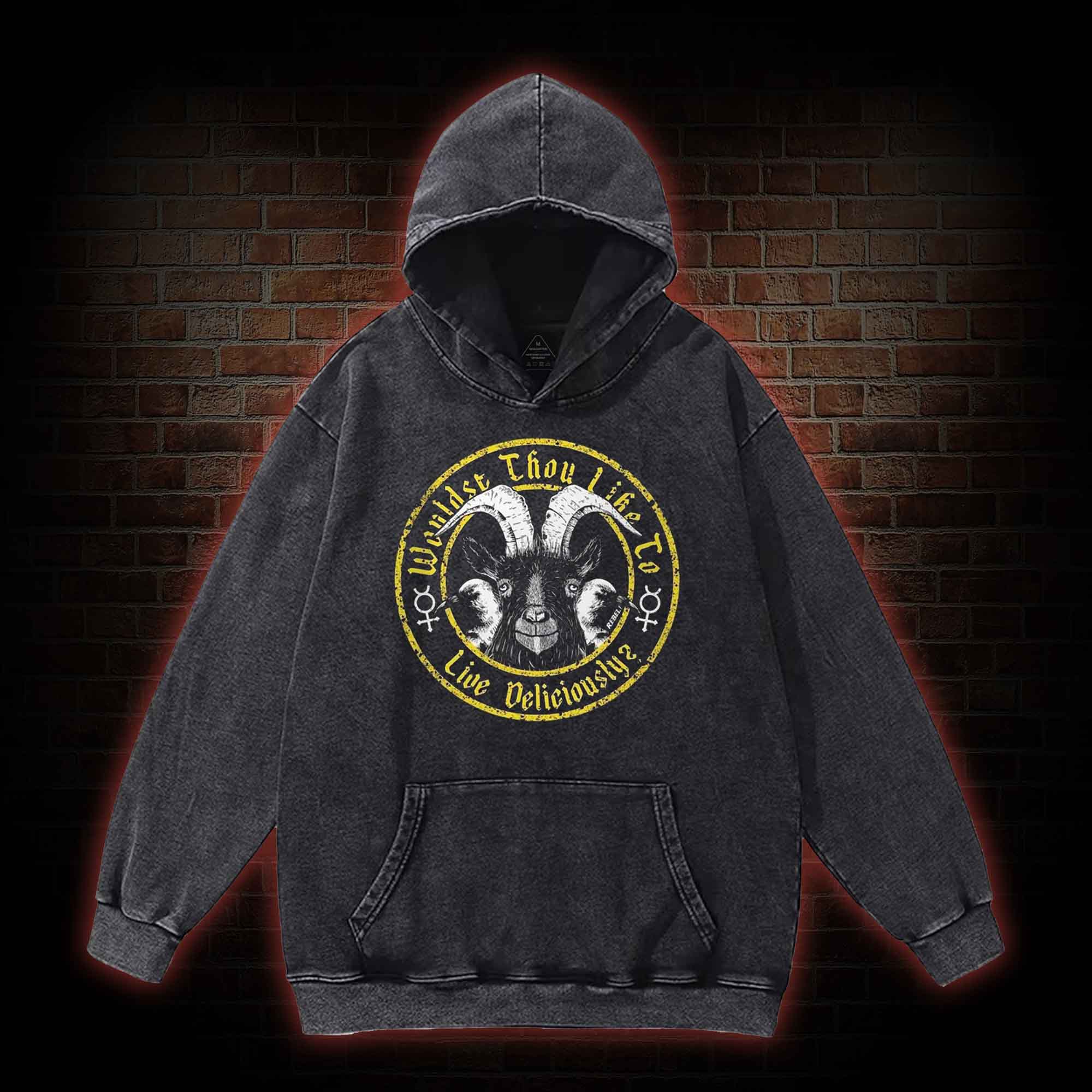 2536 Washed Hoodie