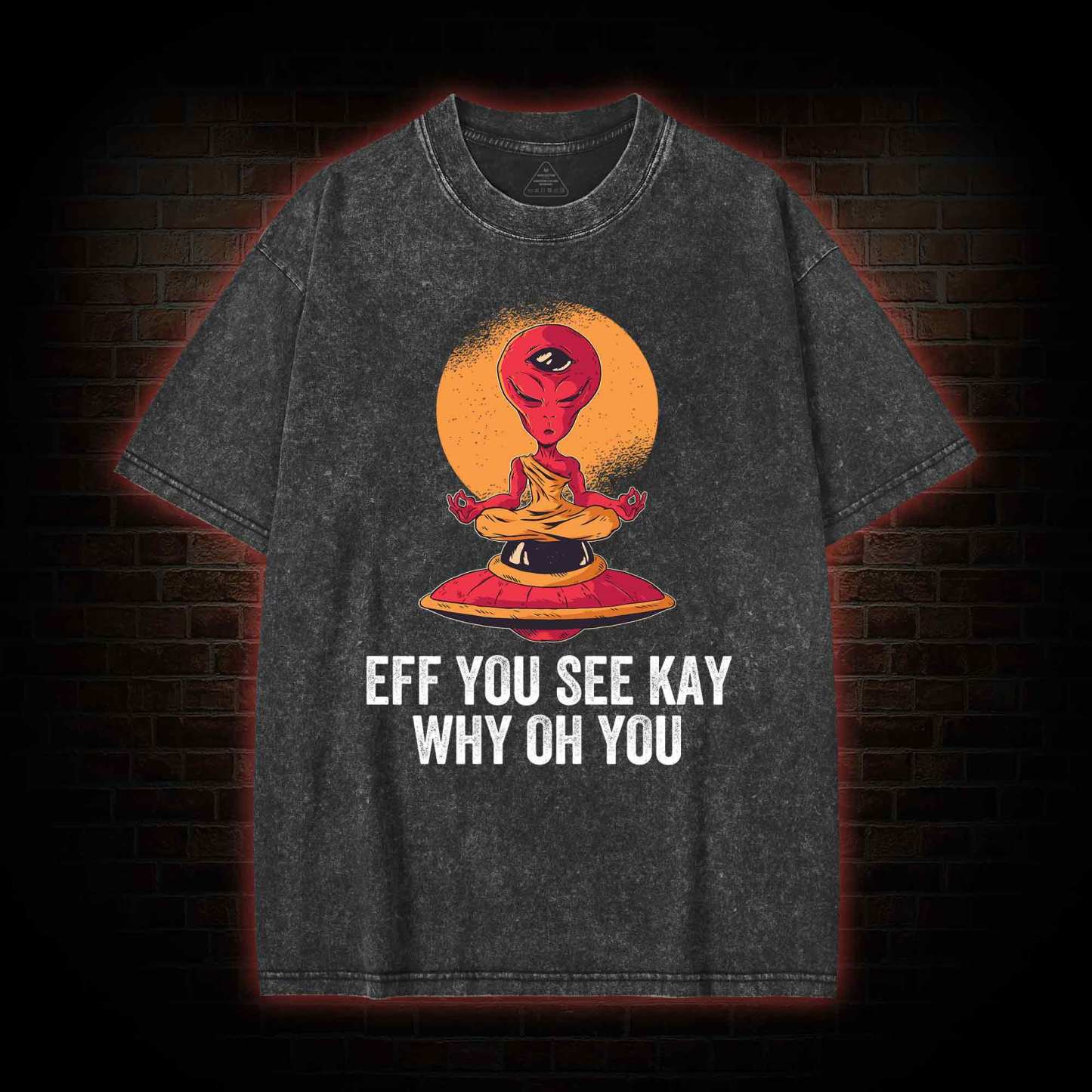 Eff You See Kay Why Oh You Alien Washed T-shirt