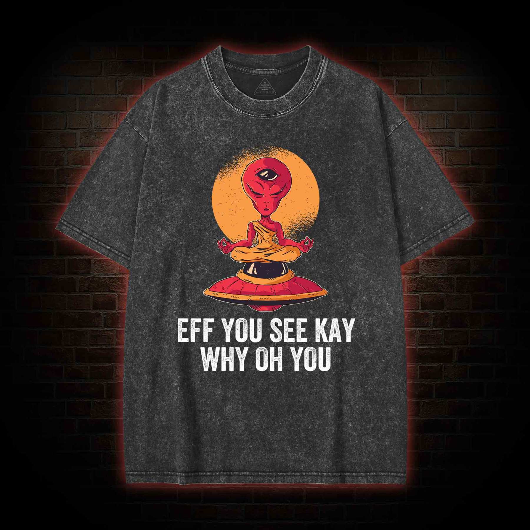 Eff You See Kay Why Oh You Alien Washed T-shirt