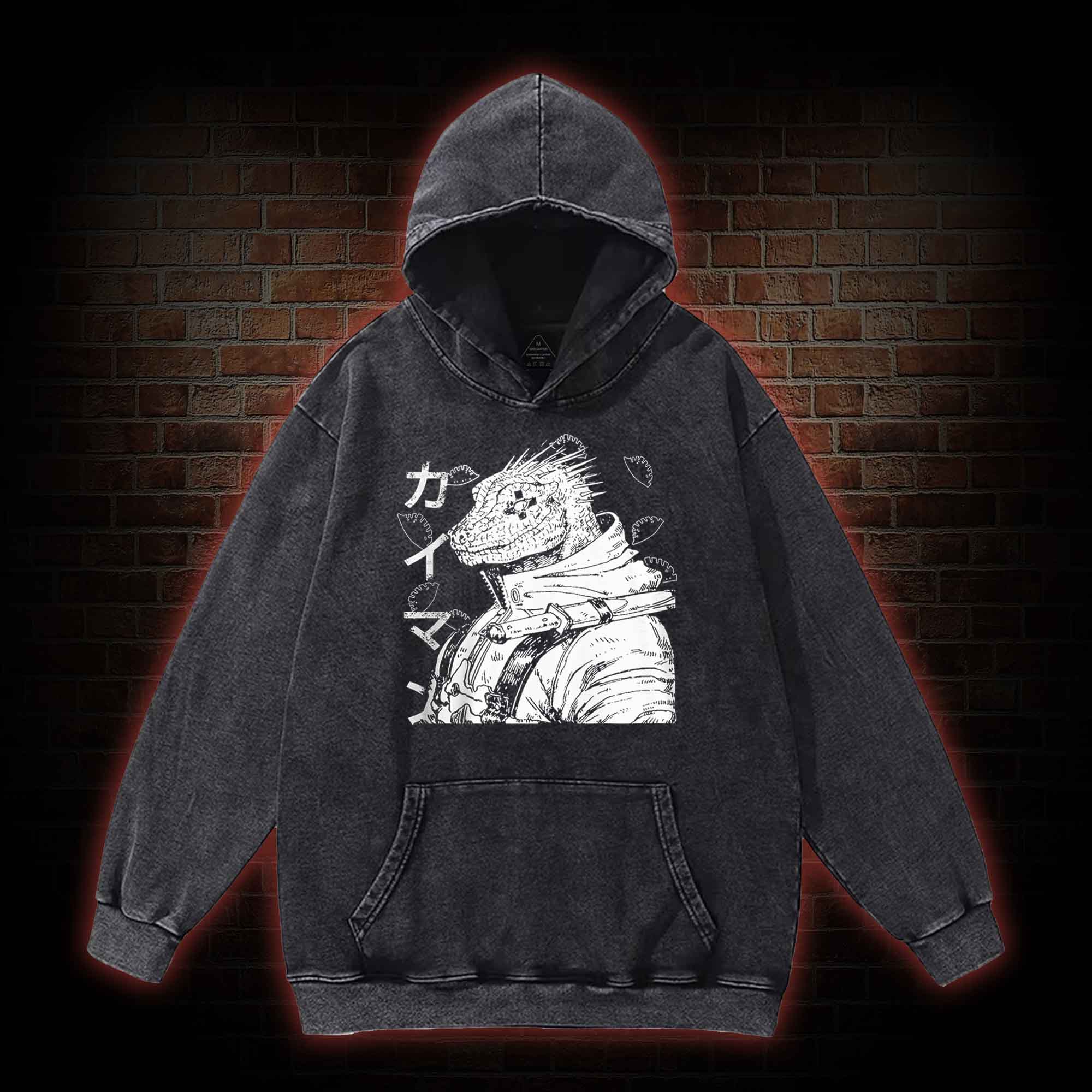 2568 Washed Hoodie
