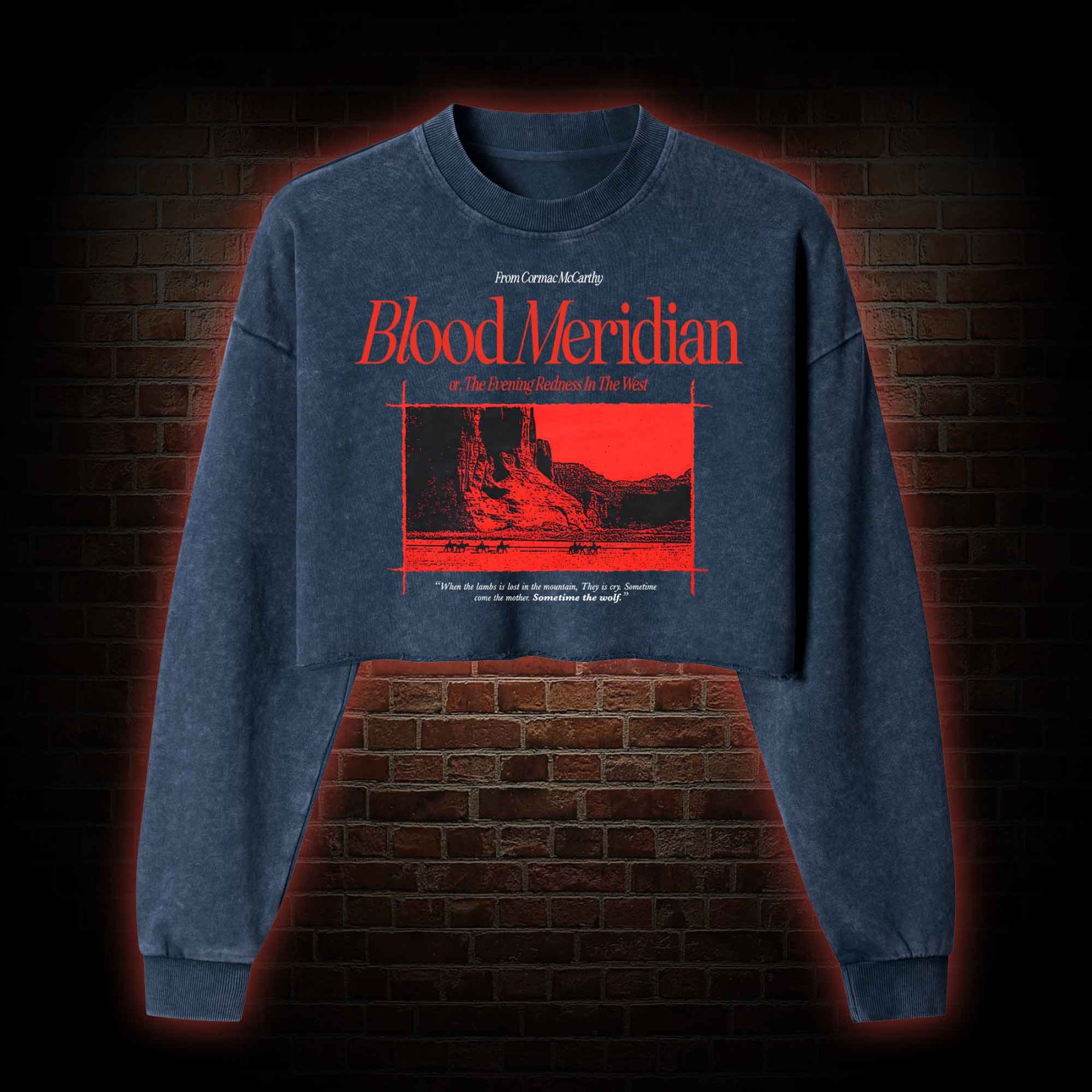 Blood Meridian Washed Cropped Sweatshirts