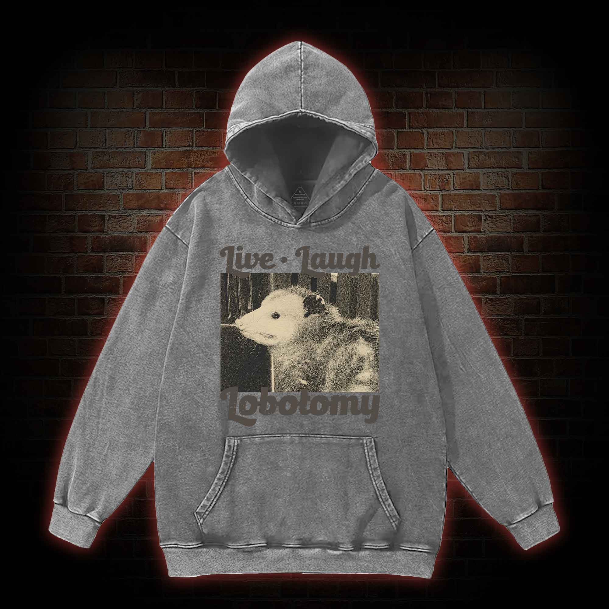 Live Laugh Lobotomy Washed Hoodie