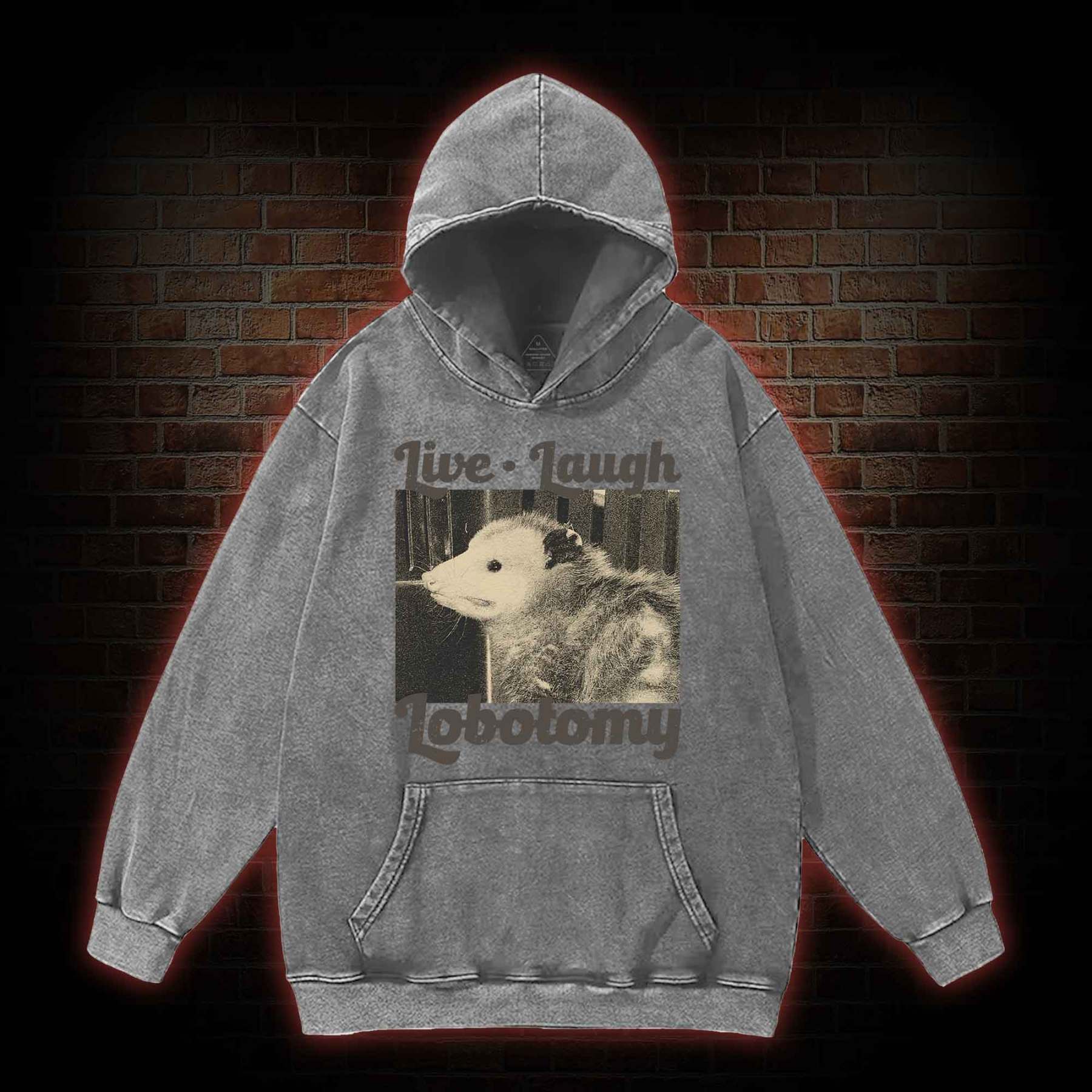 Live Laugh Lobotomy Washed Hoodie