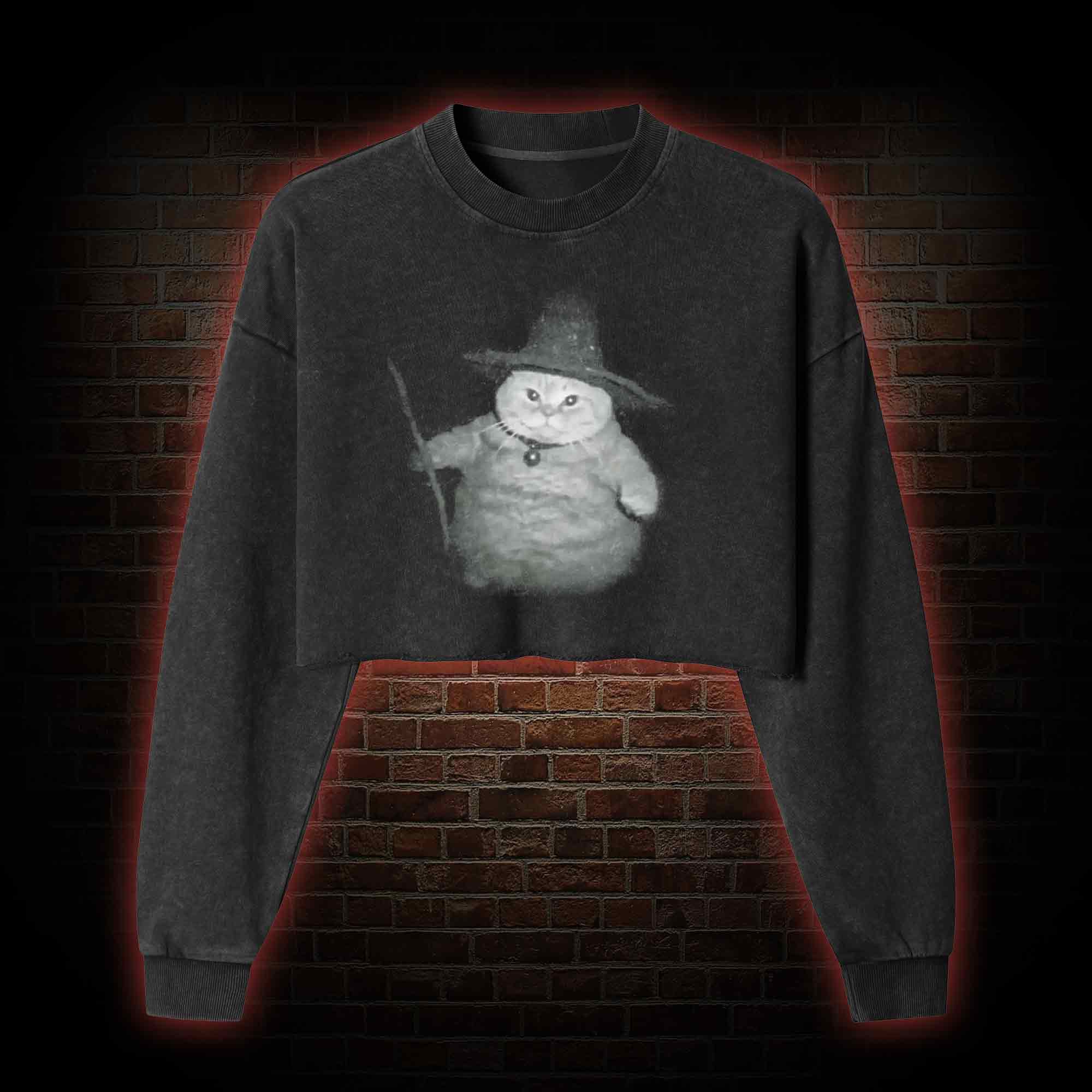 Wizard Cat Vintage Washed Cropped Sweatshirts
