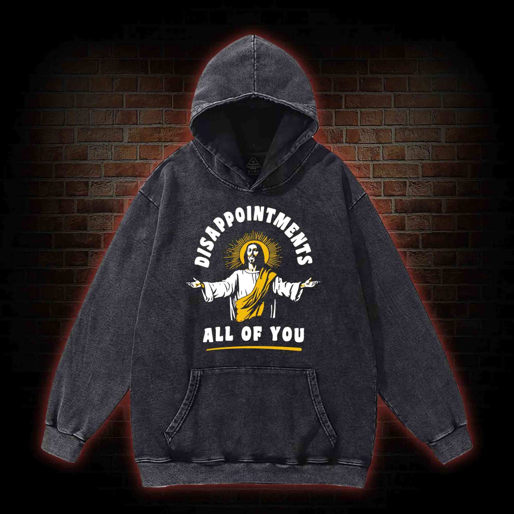 Disappointments All Of You Washed Hoodie