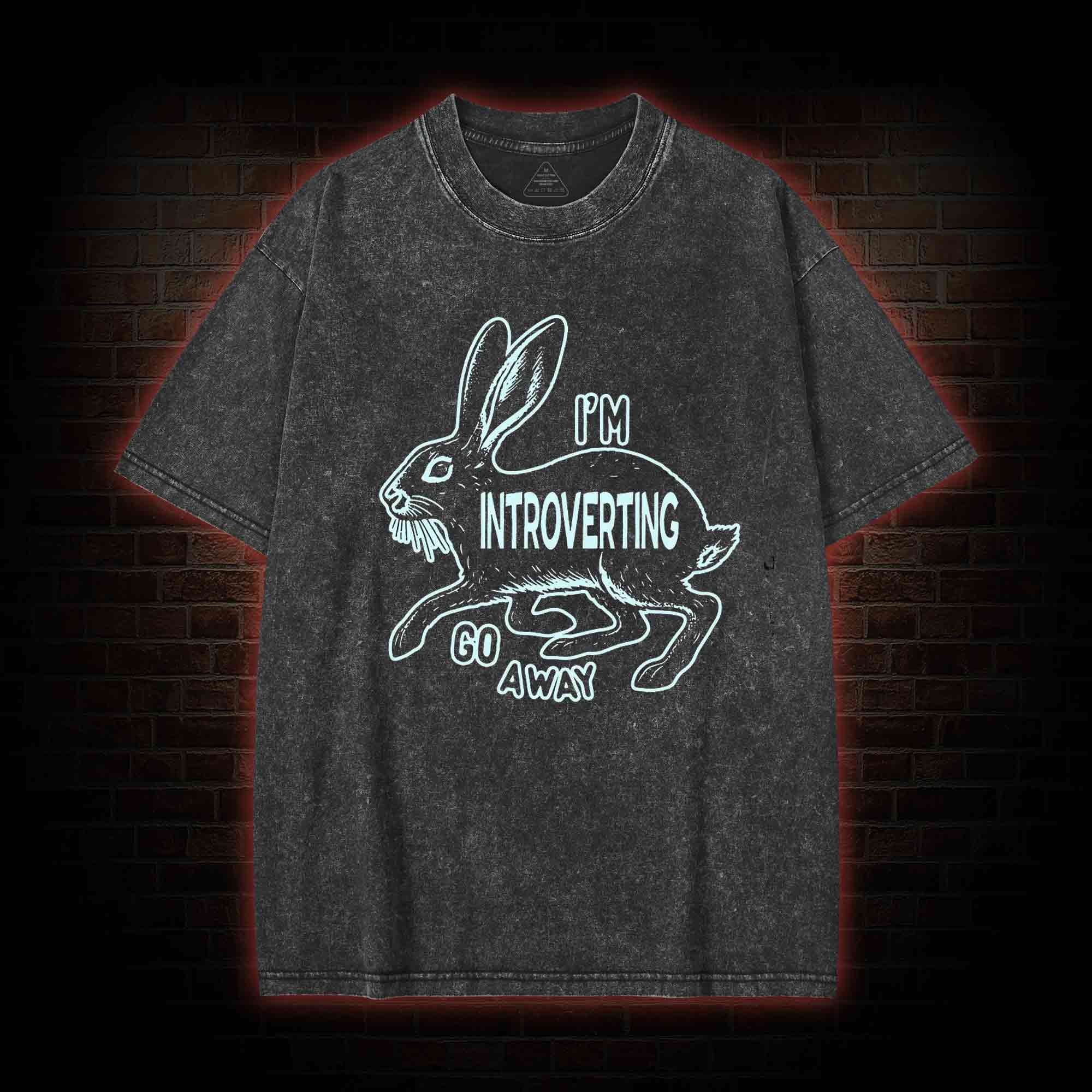 I'm Introverting Washed T-shirt