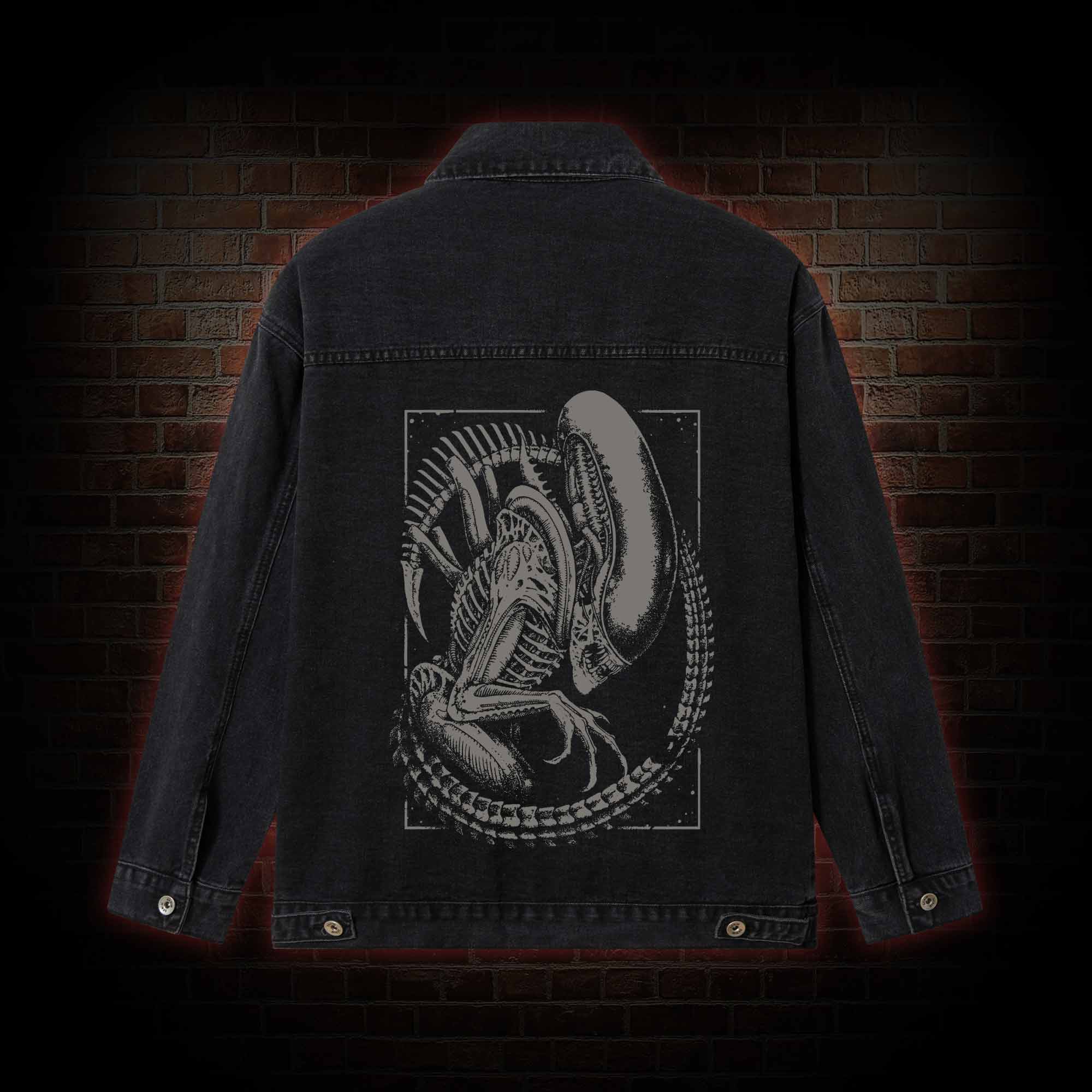 Alien Vintage Denim Jacket