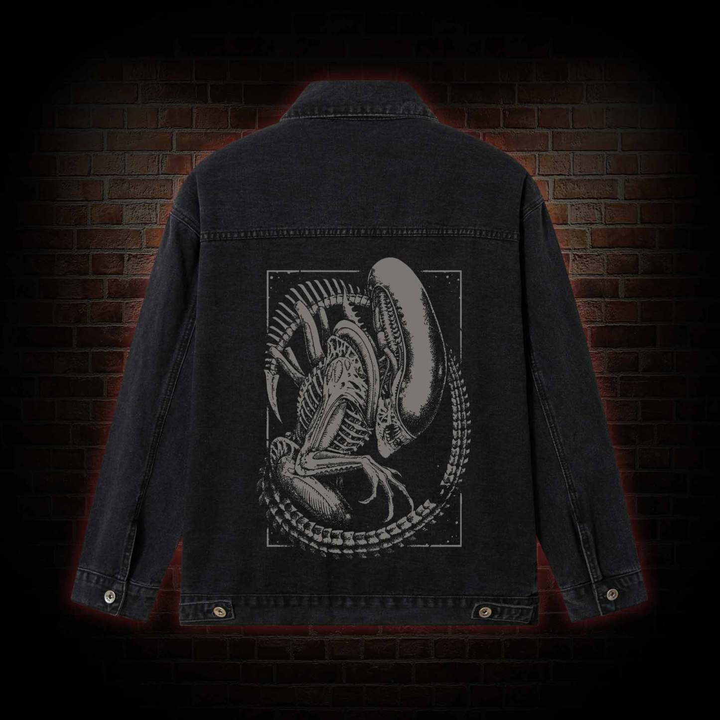 Alien Vintage Denim Jacket