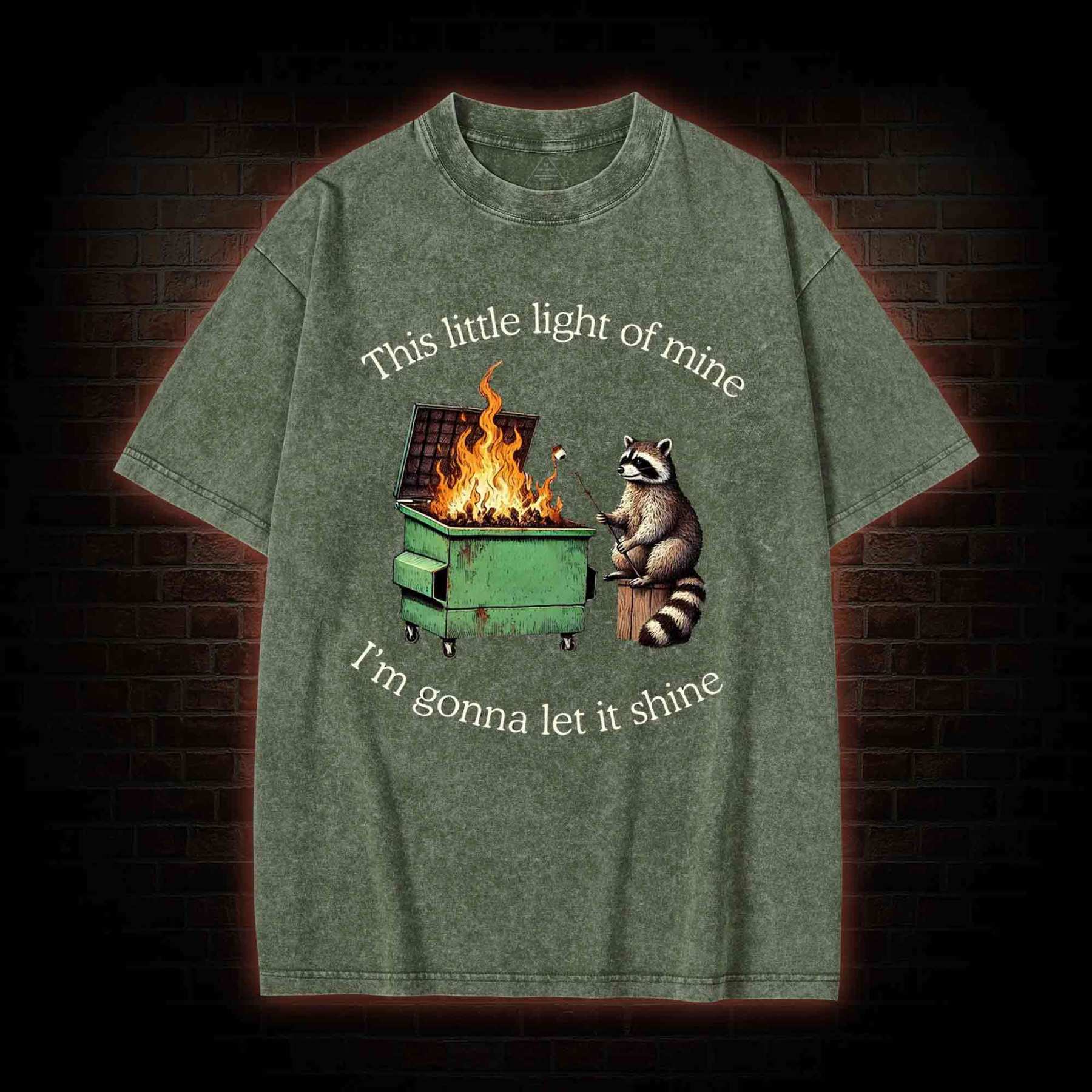 Dumpster Fire Raccoon Washed T-shirt