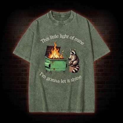 Dumpster Fire Raccoon Washed T-shirt