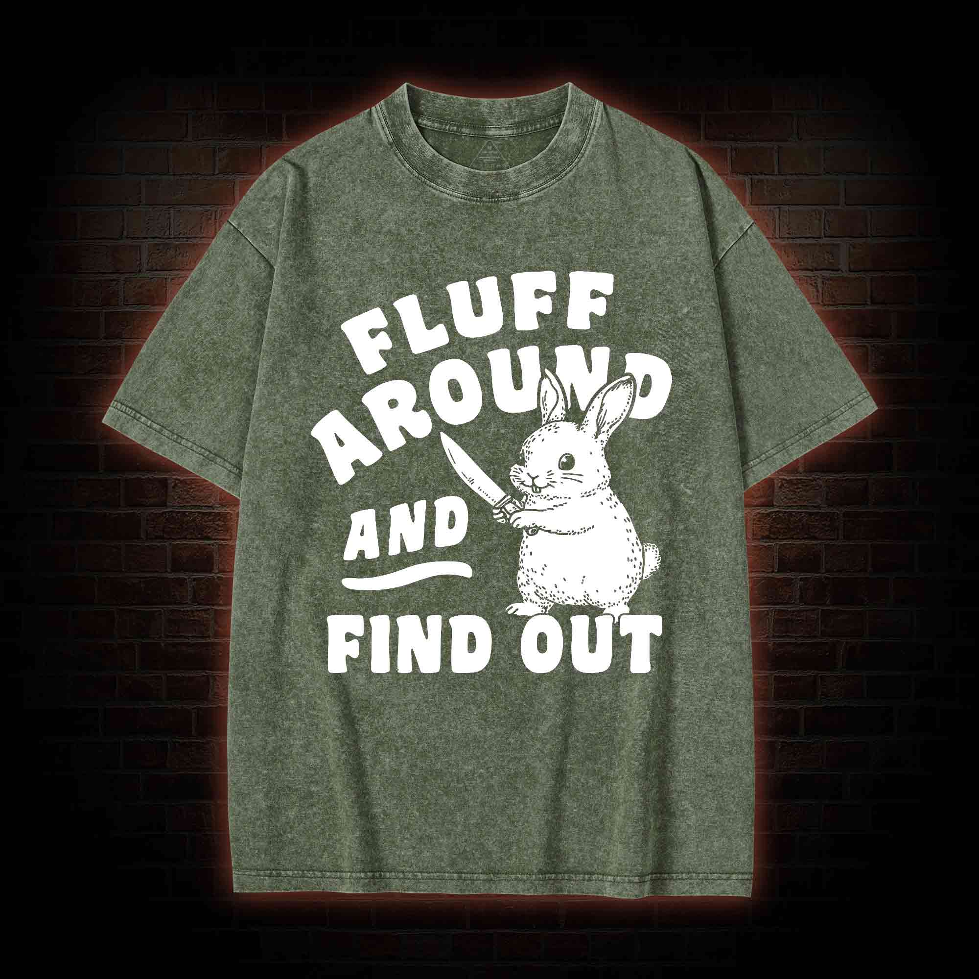 Fluff Around and Find Out Washed T-shirt