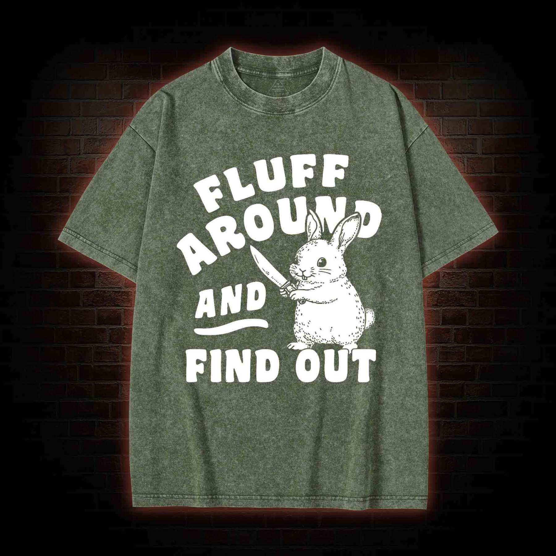 Fluff Around and Find Out Washed T-shirt