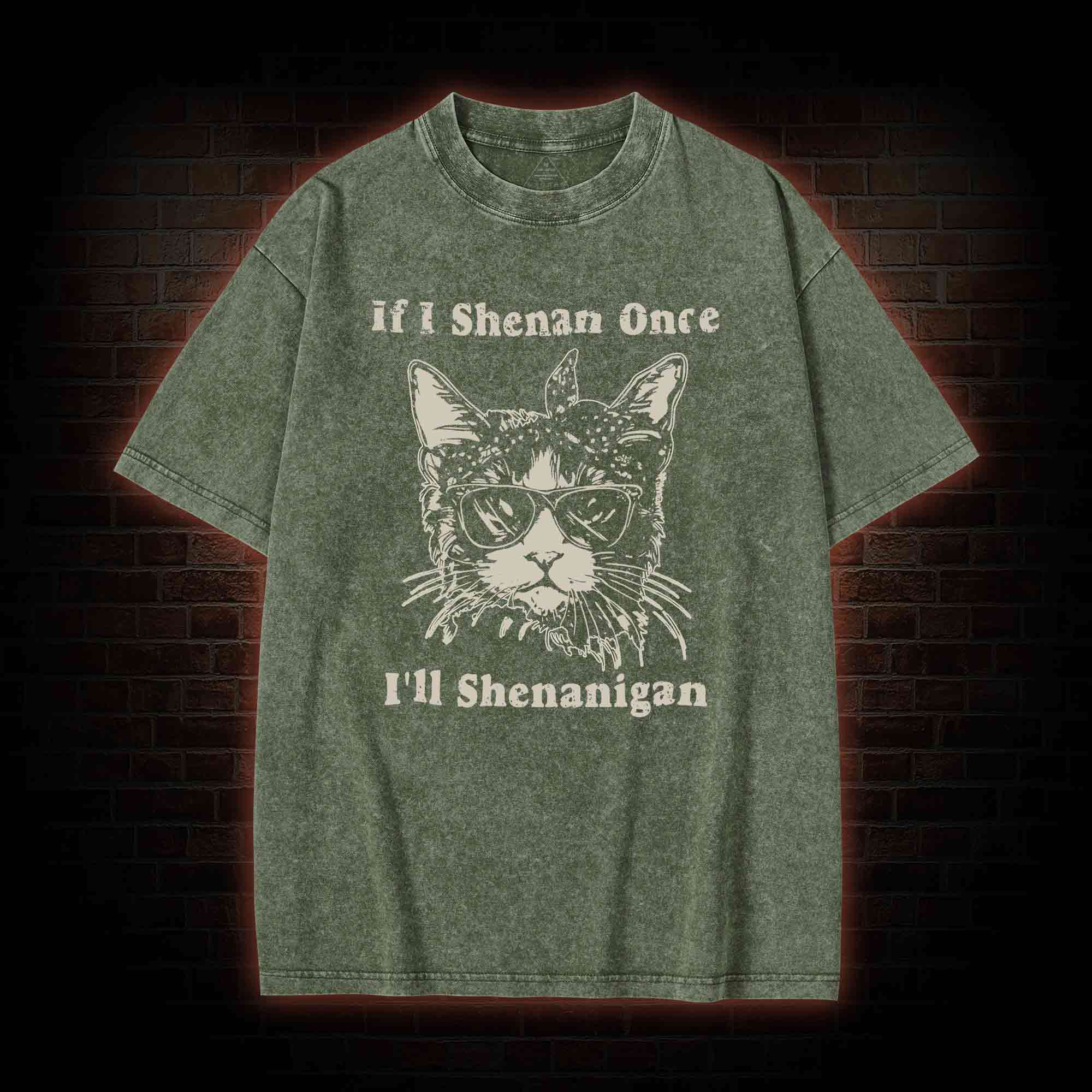 If I Shenan Once I'll Shenanigan Washed T-shirt