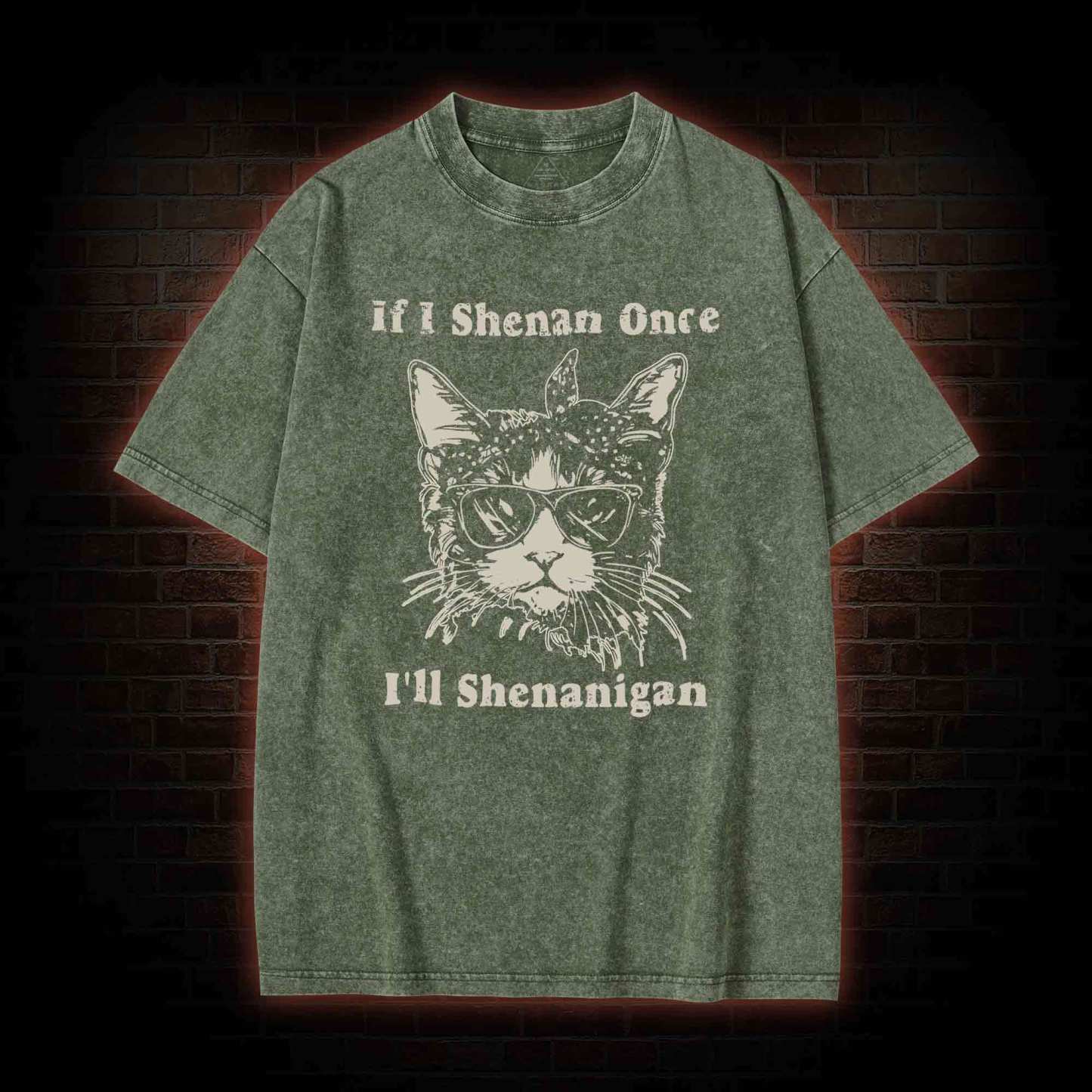 If I Shenan Once I'll Shenanigan Washed T-shirt