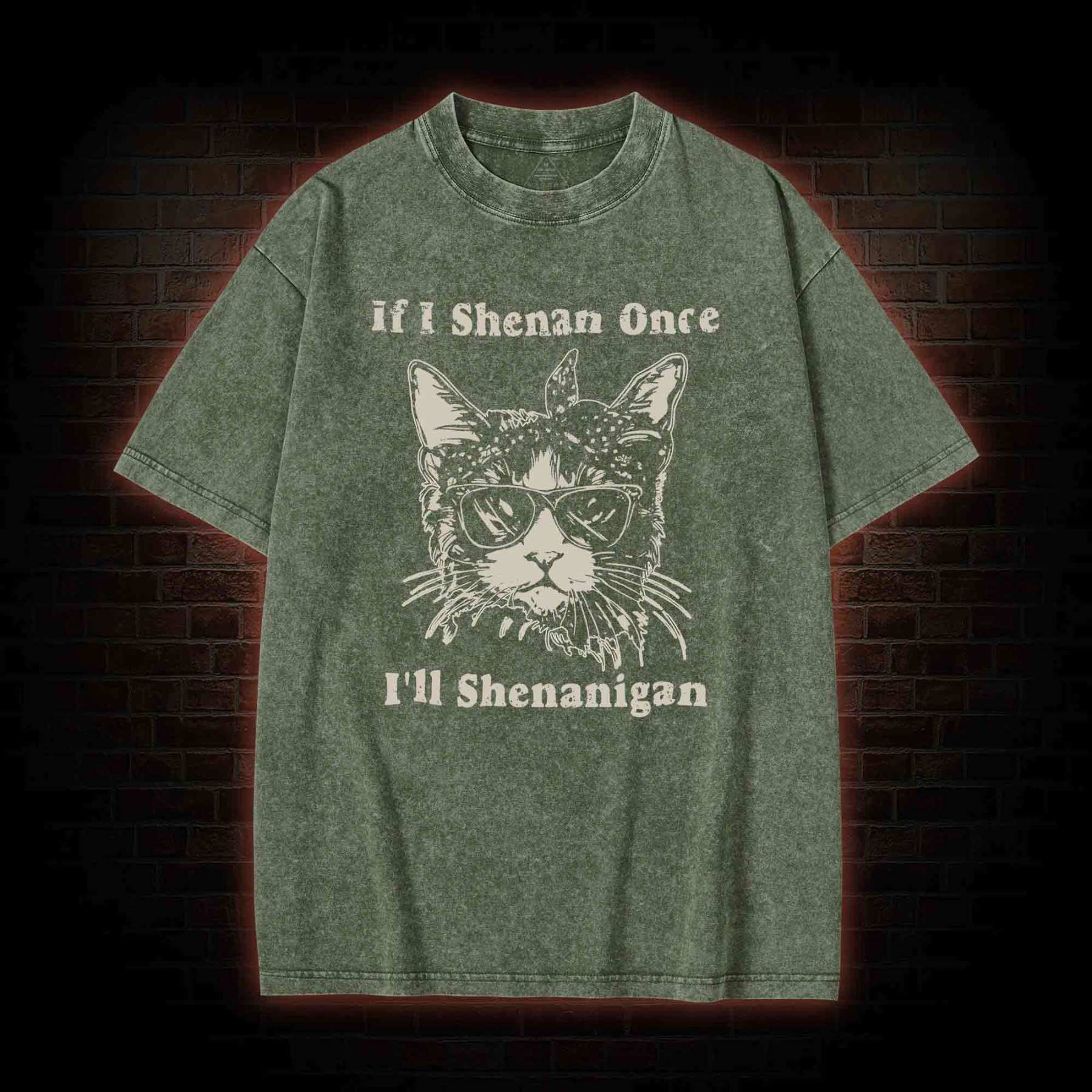 If I Shenan Once I'll Shenanigan Washed T-shirt