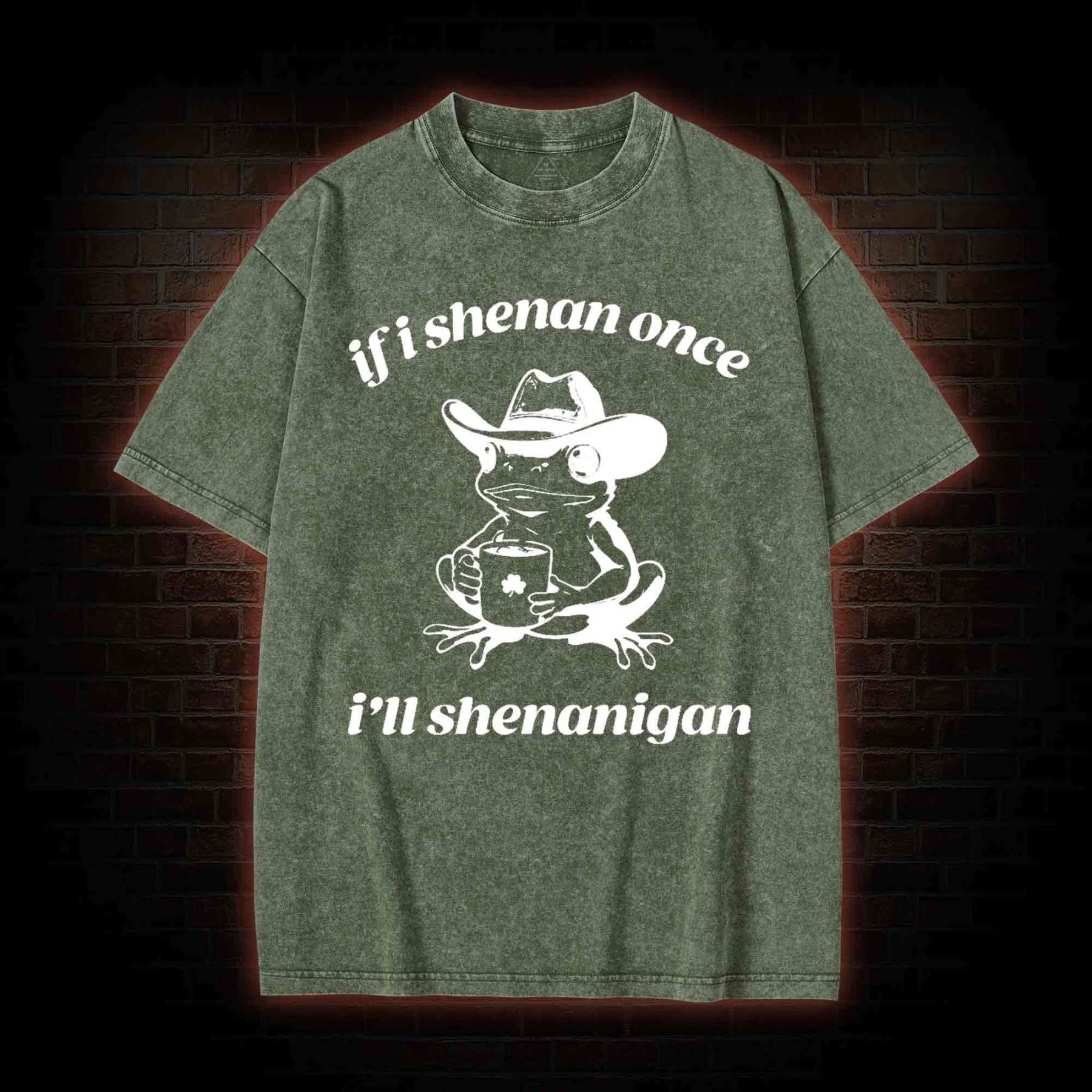 If I Shenan Once I'll Shenanigan Washed T-shirt