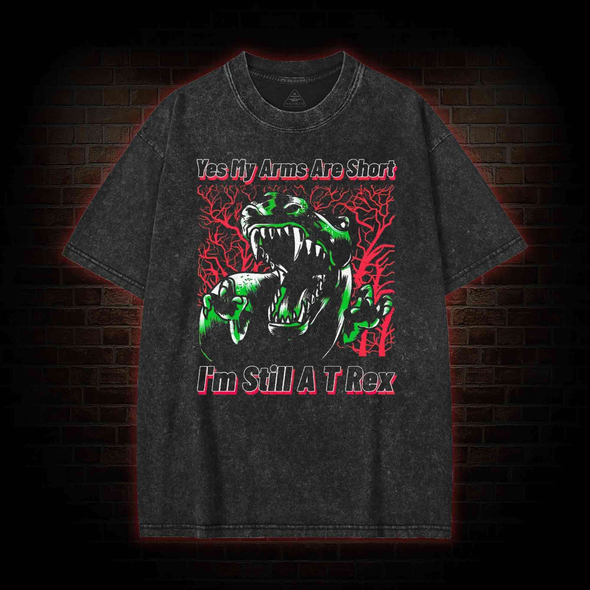 Spinosaurus Washed T-shirt