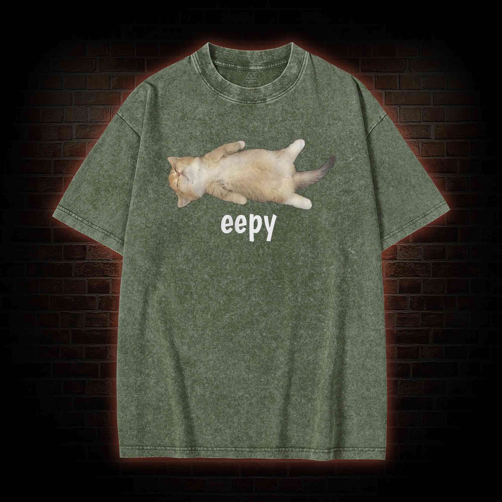 Silly Sleepy Cat Washed T-shirt