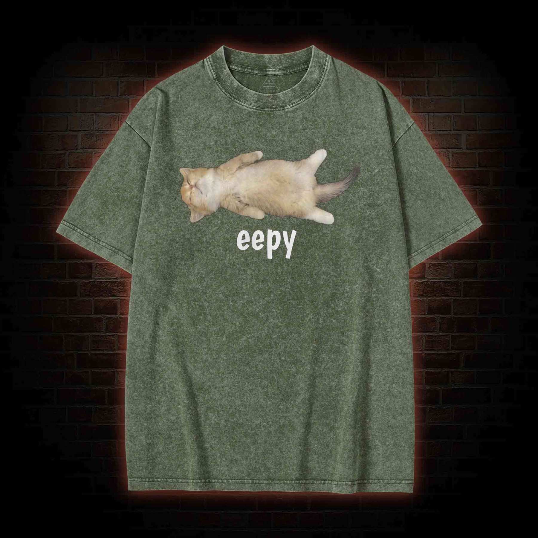 Silly Sleepy Cat Washed T-shirt