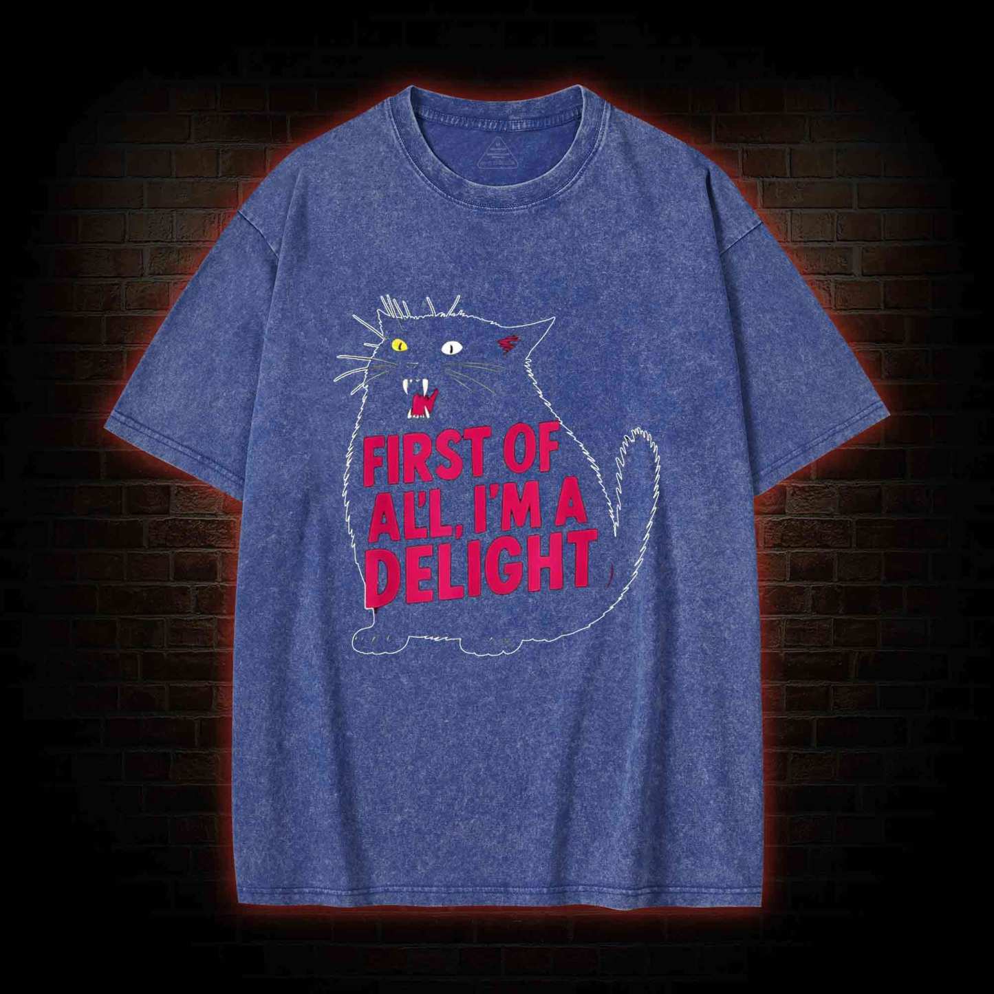 First of all I’m a Delight Washed T-shirt