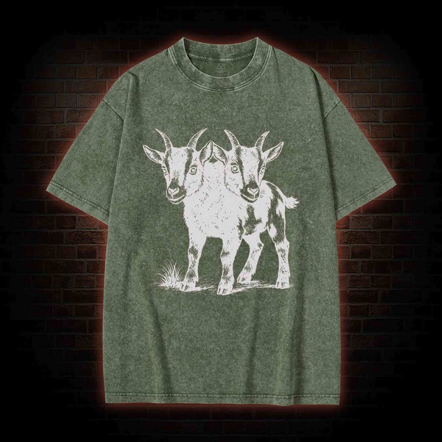 Two Headed Goat Washed T-shirt