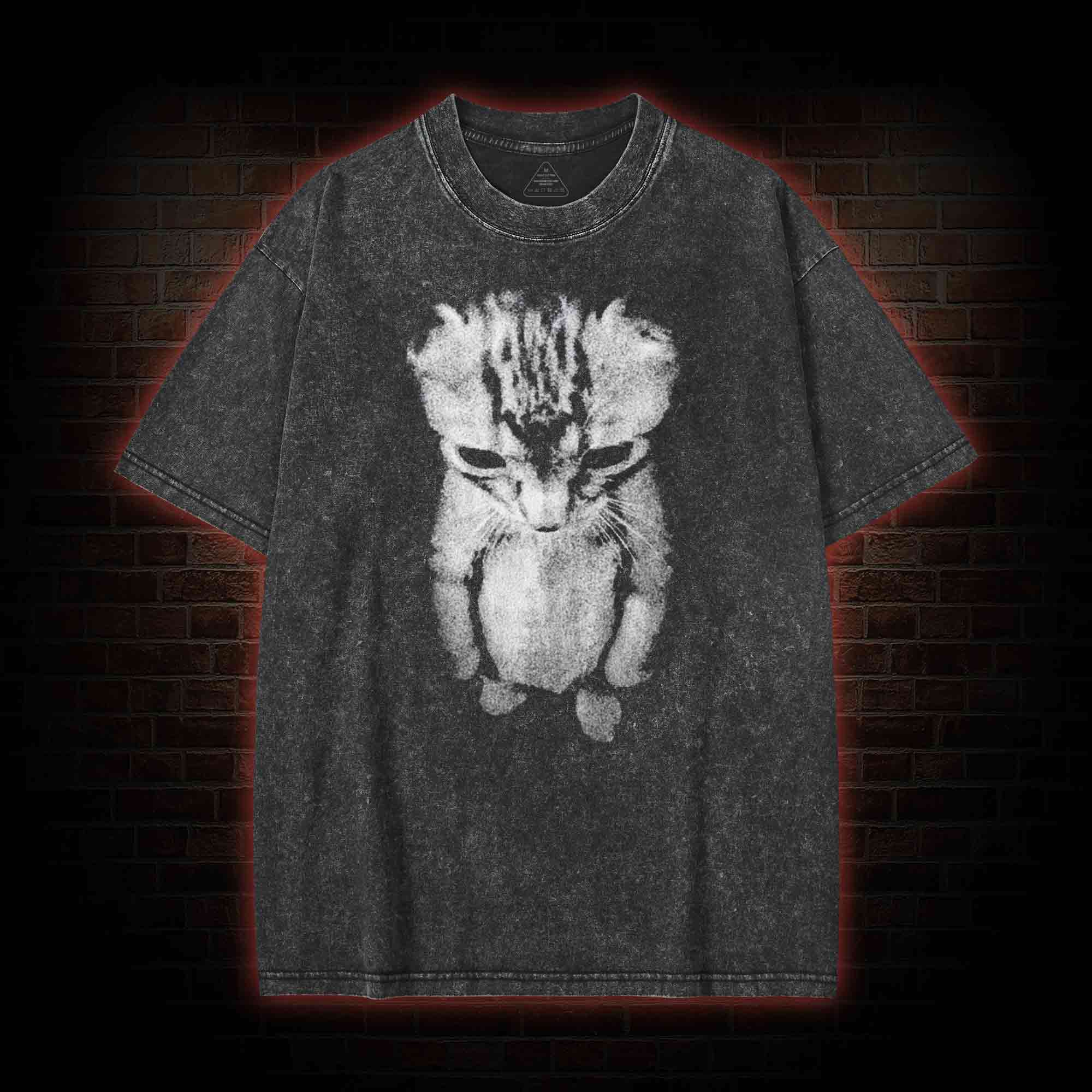 Sad Kitten Meme Standing Cat Washed T-shirt