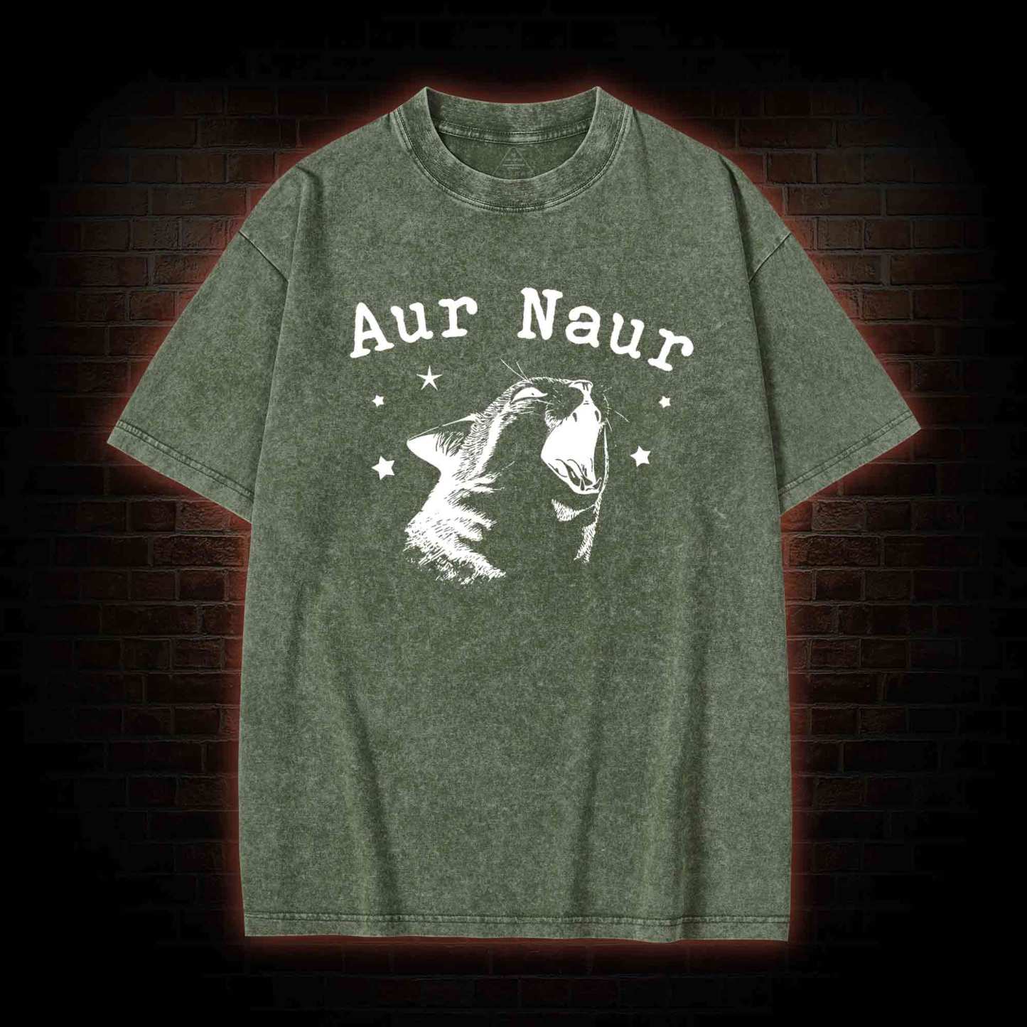 Aur Naur Cat Washed T-shirt