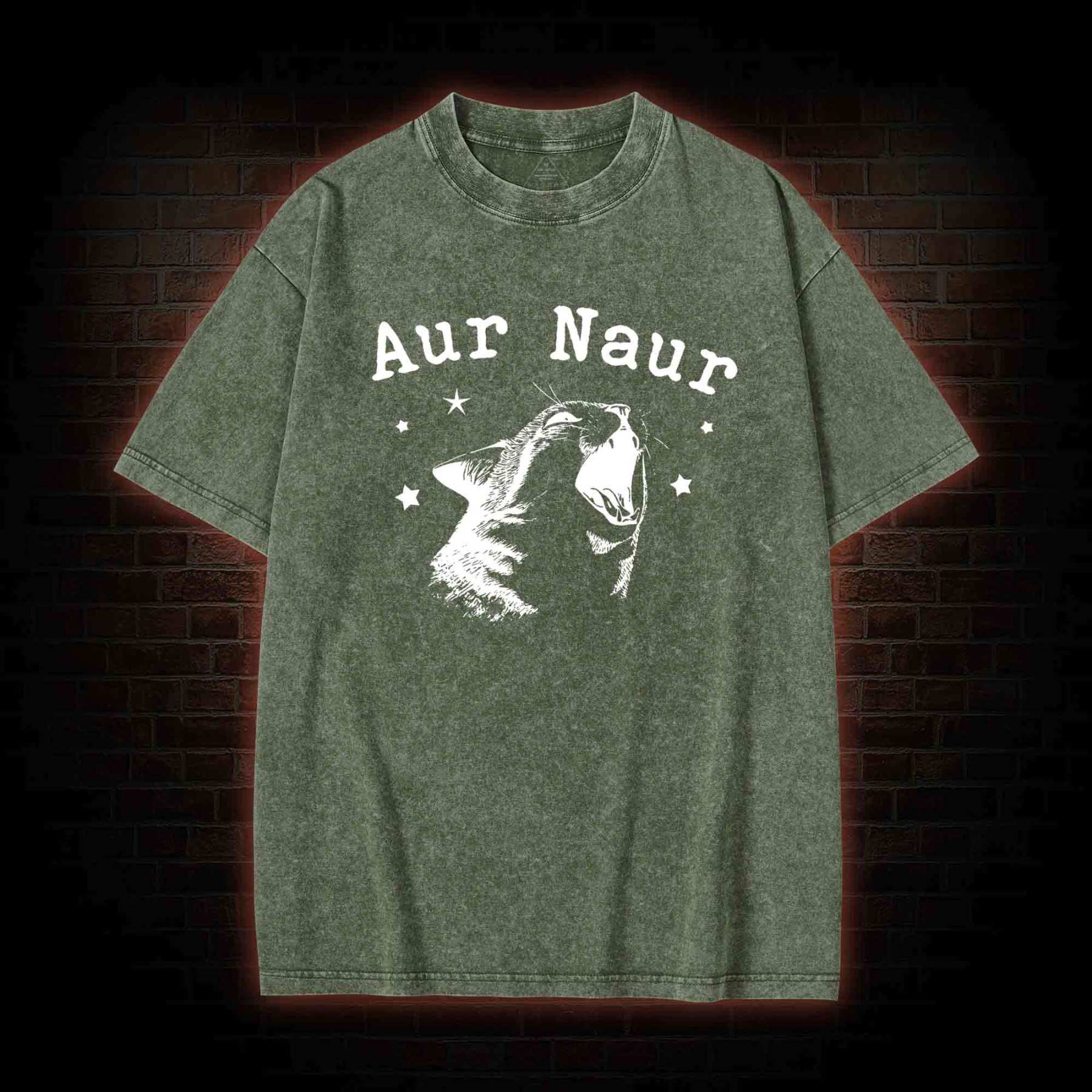 Aur Naur Cat Washed T-shirt