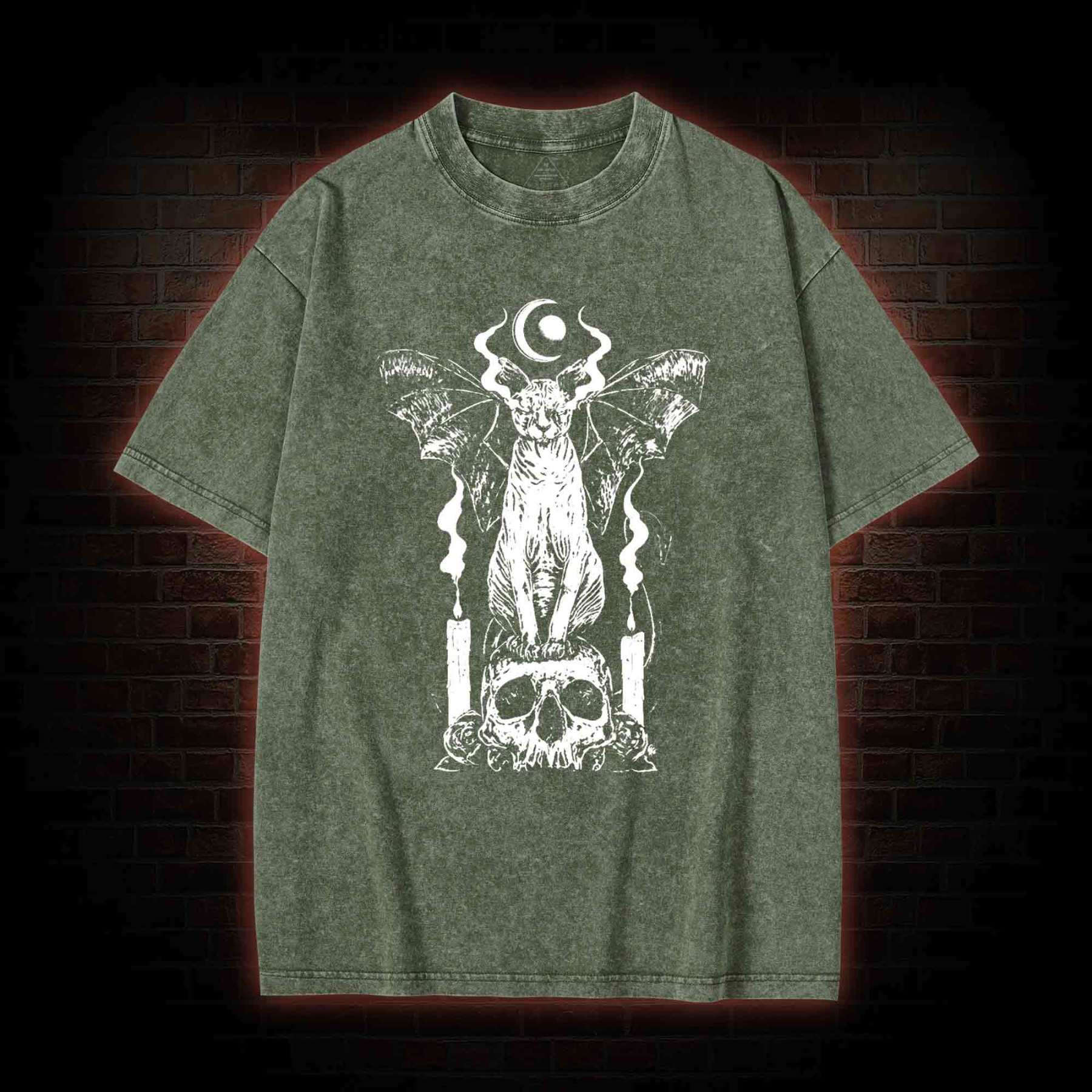 Sphynx Cat Washed T-shirt