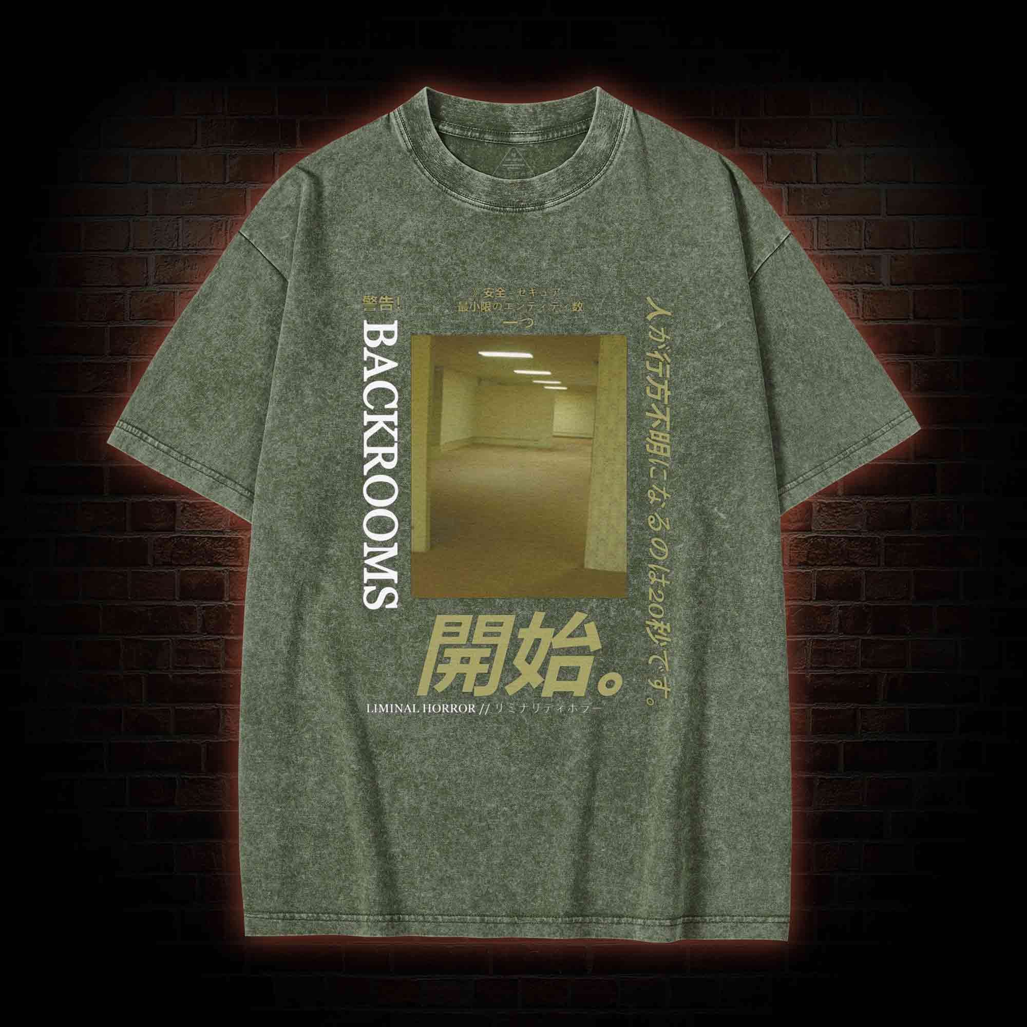 Liminal Horror Washed T-shirt