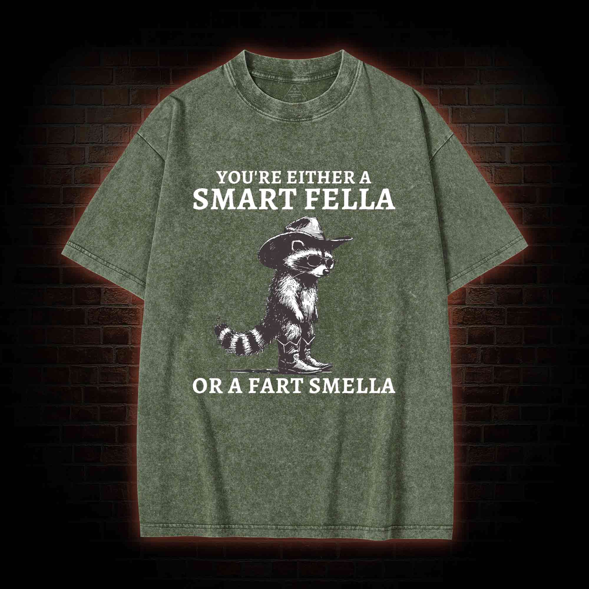 You're Either a Smart Fella or a  Fart Smella Washed T-shirt