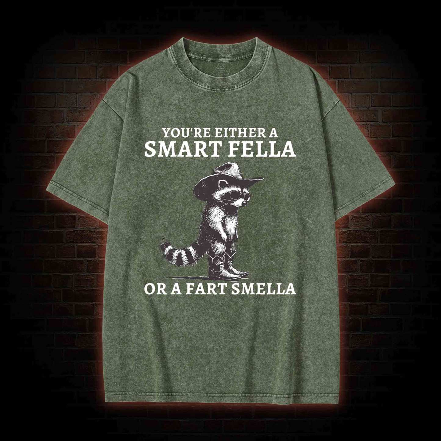 You're Either a Smart Fella or a  Fart Smella Washed T-shirt