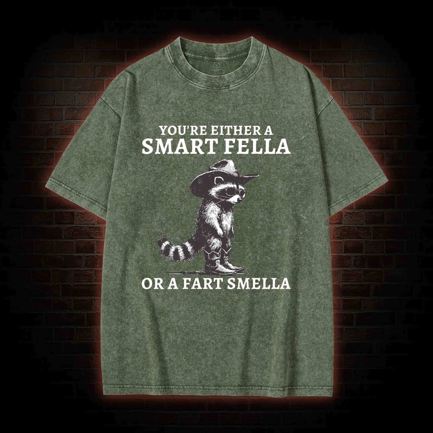 You're Either a Smart Fella or a  Fart Smella Washed T-shirt