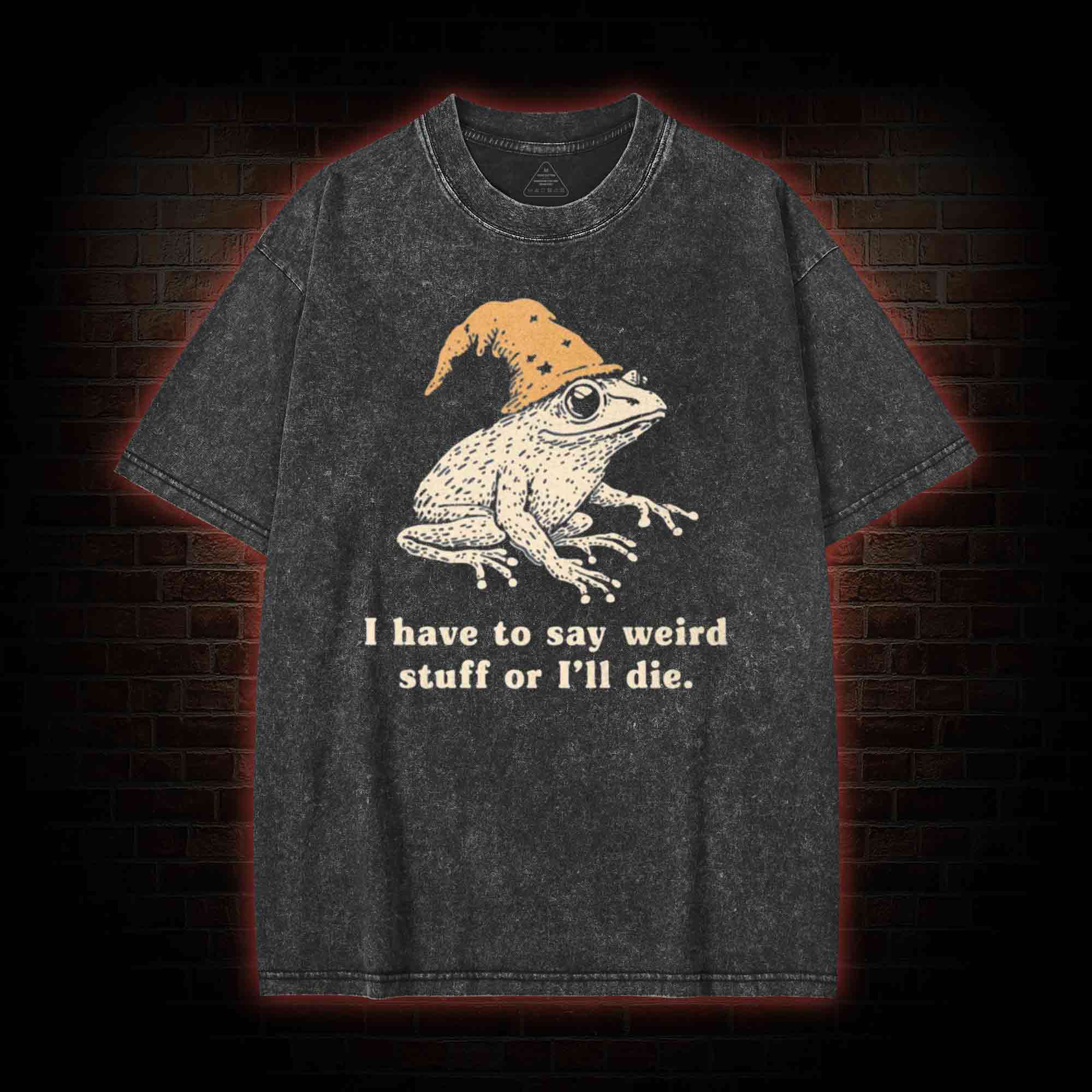 Frog Meme Washed T-shirt