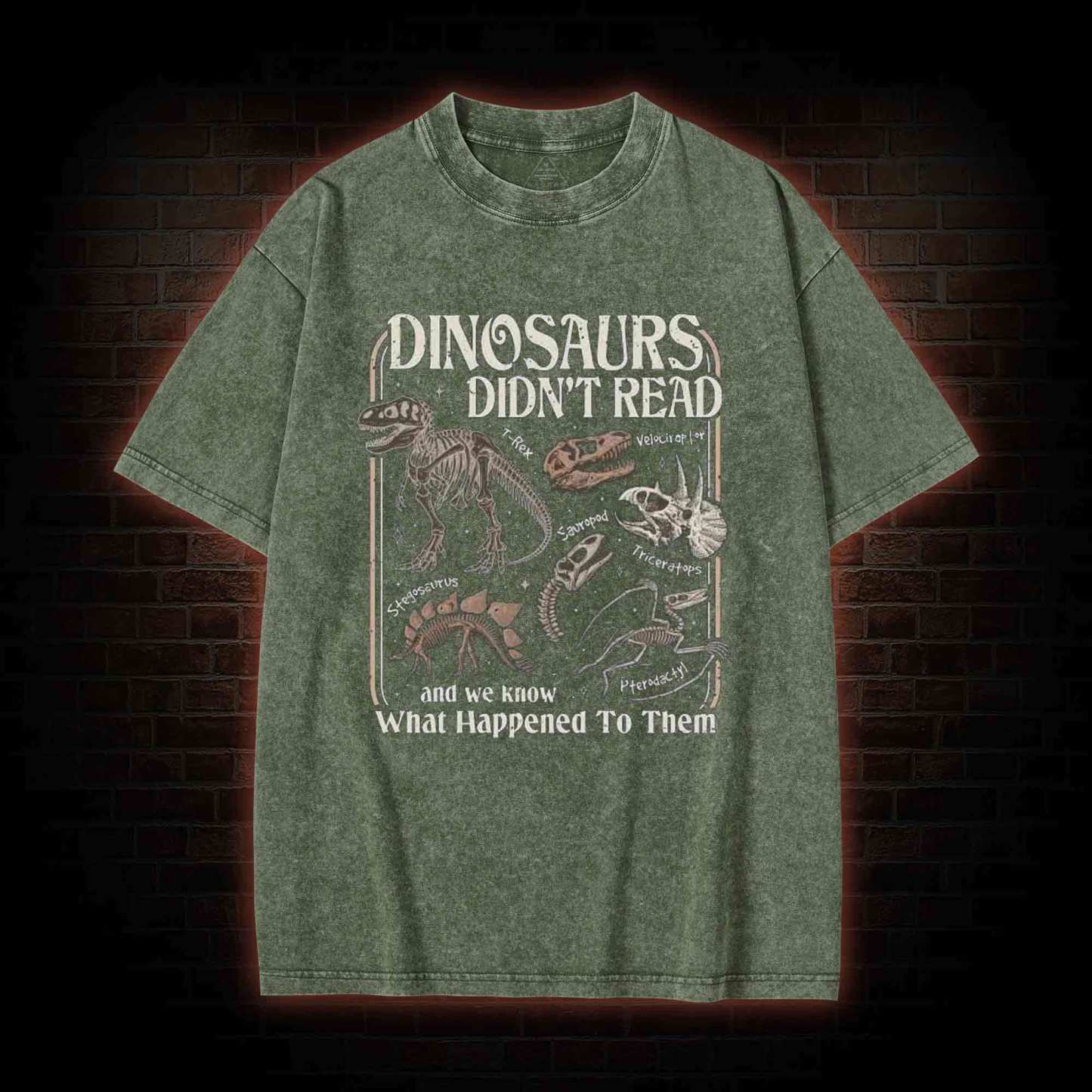 Dinosaurs Didn't Read Washed T-shirt