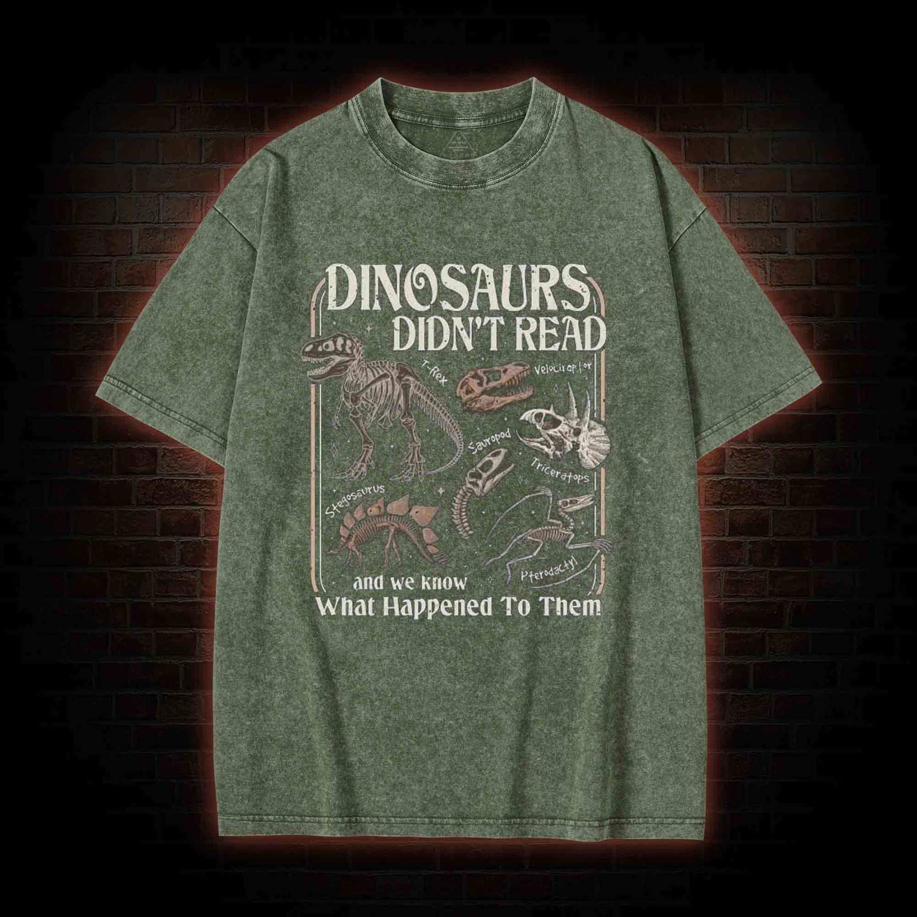 Dinosaurs Didn't Read Washed T-shirt