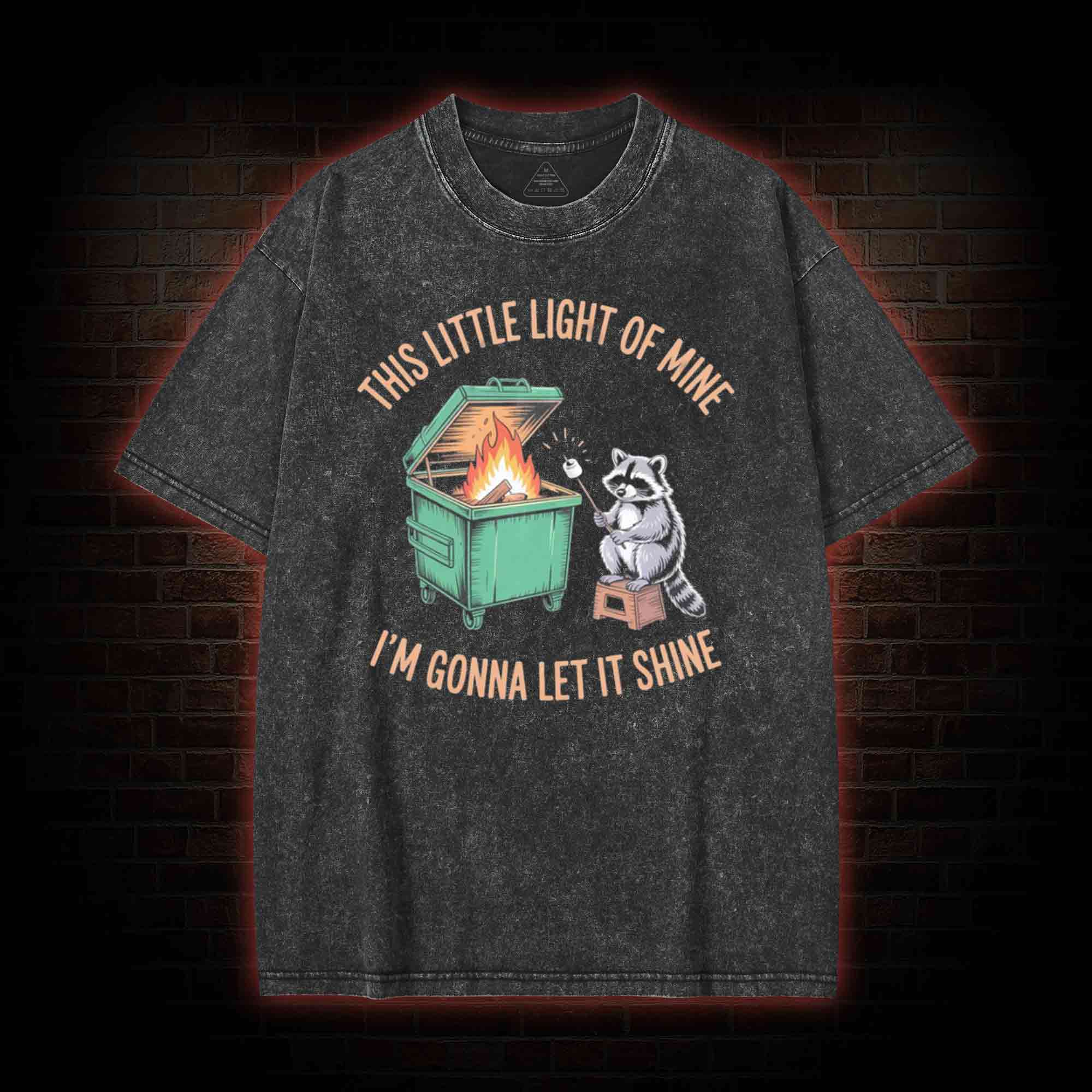 Dumpster Fire Raccoon Washed T-shirt