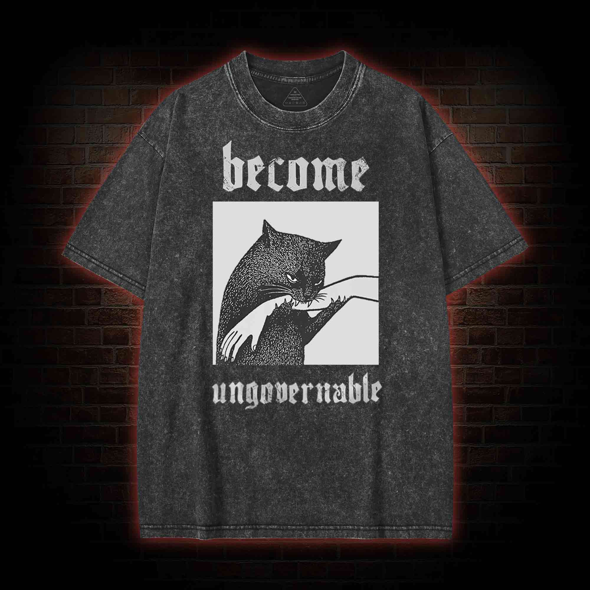 Silly Cats Washed T-shirt