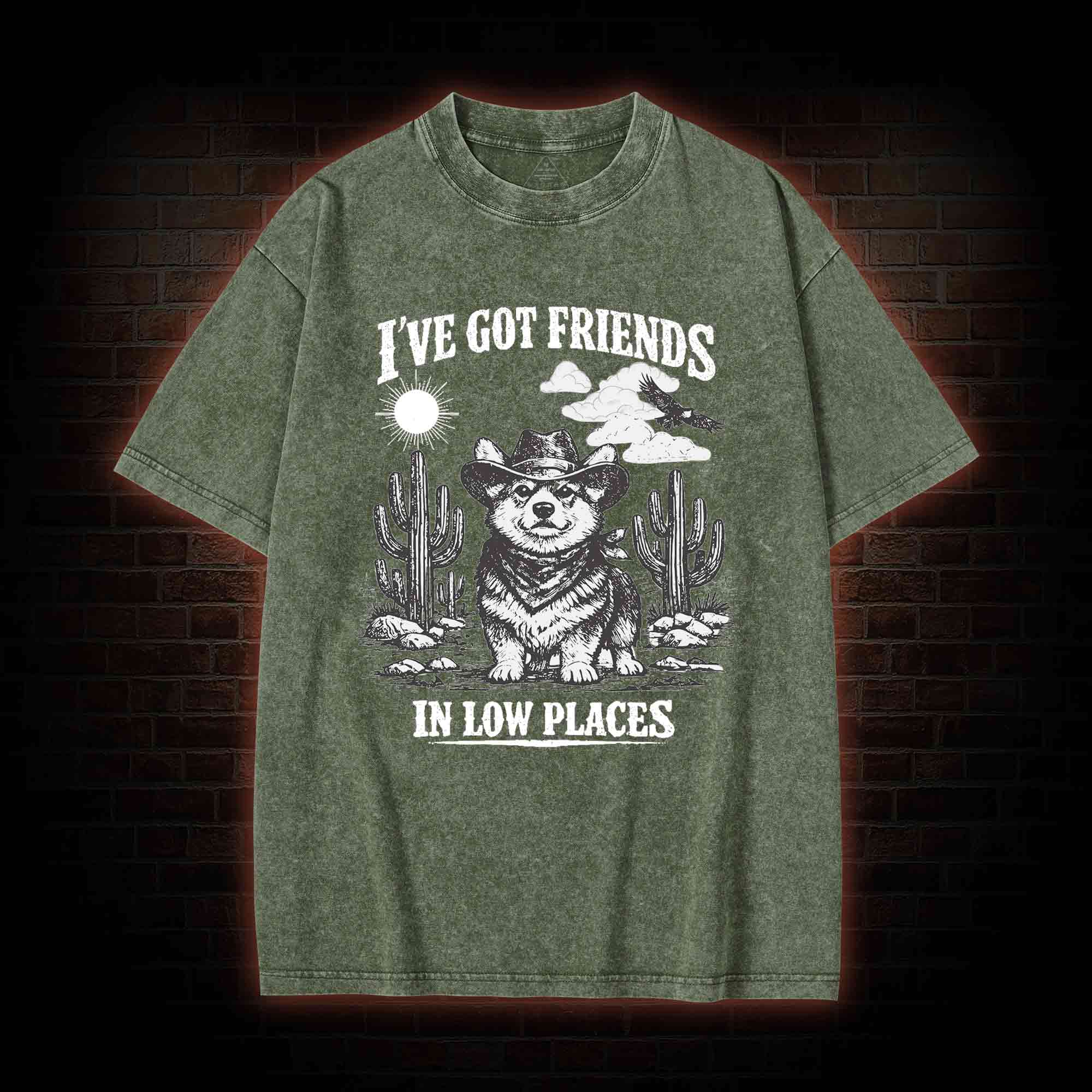 I've Got Friends in Low Places Washed T-shirt