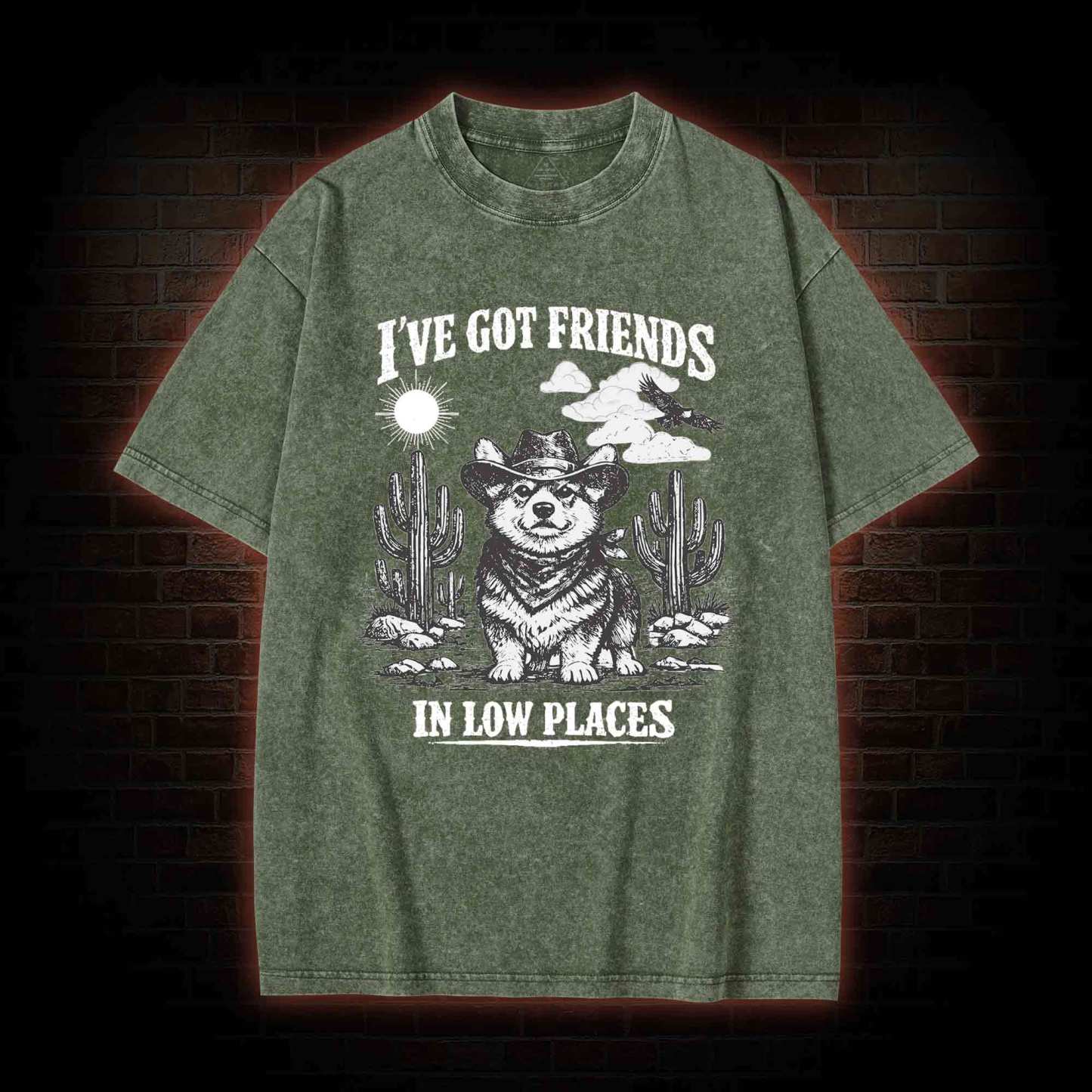 I've Got Friends in Low Places Washed T-shirt