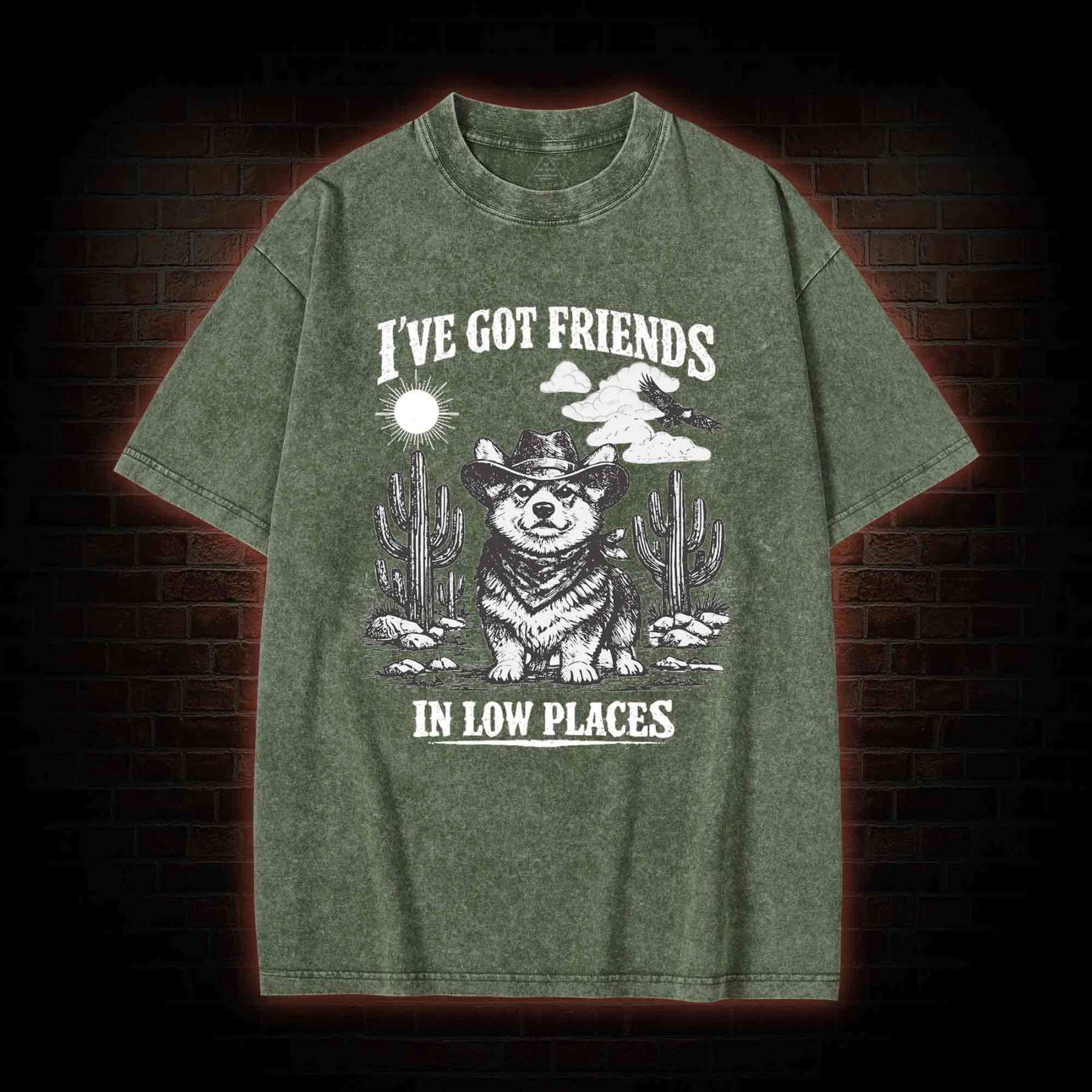 I've Got Friends in Low Places Washed T-shirt