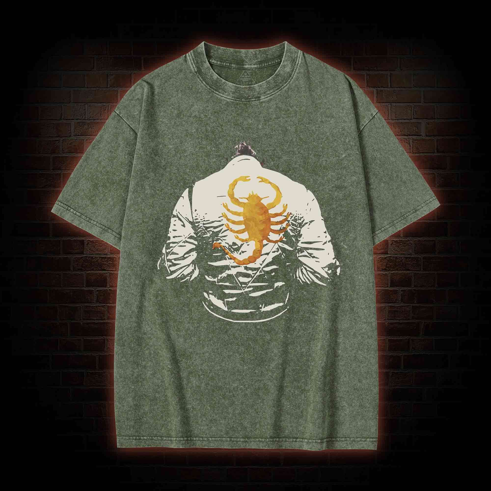 You Know the Story about the Scorpion and the Frog Washed T-shirt
