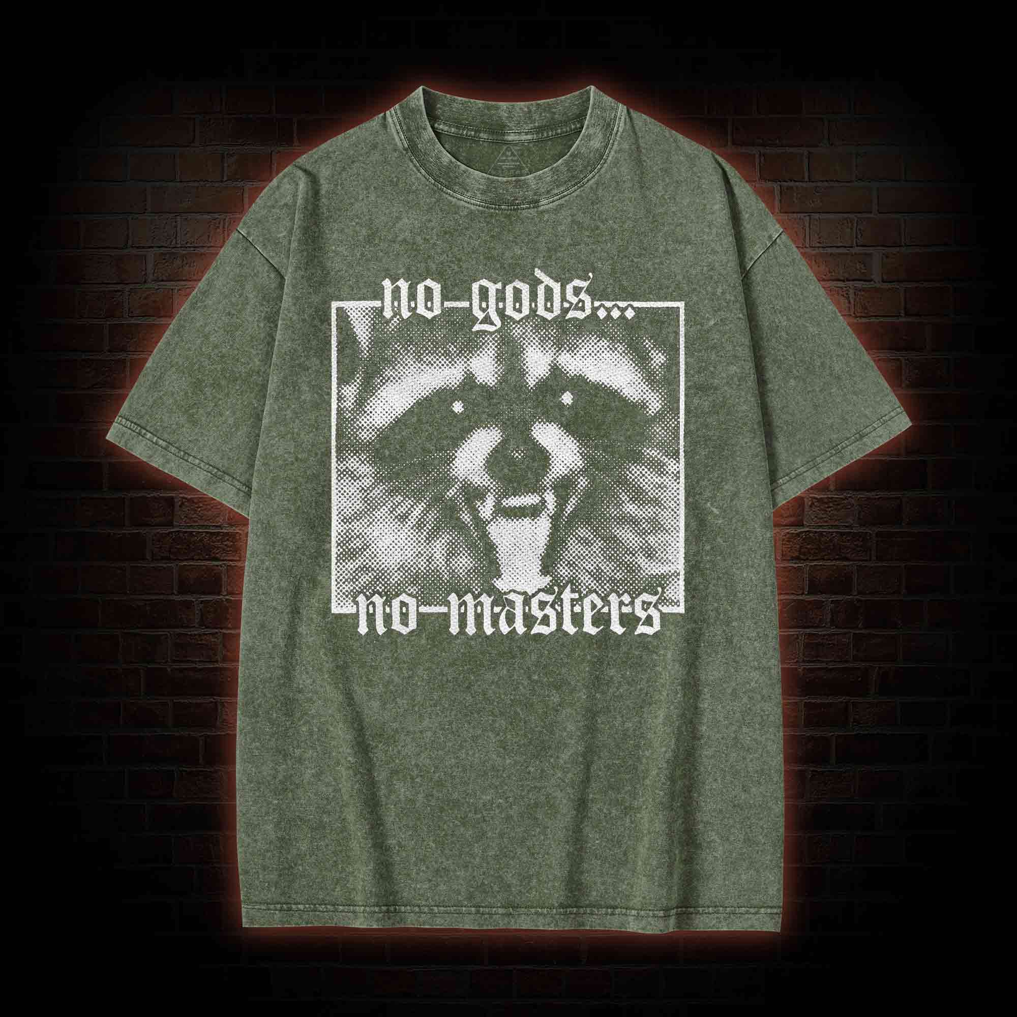 No Gods No Masters Raccoon Washed T-shirt