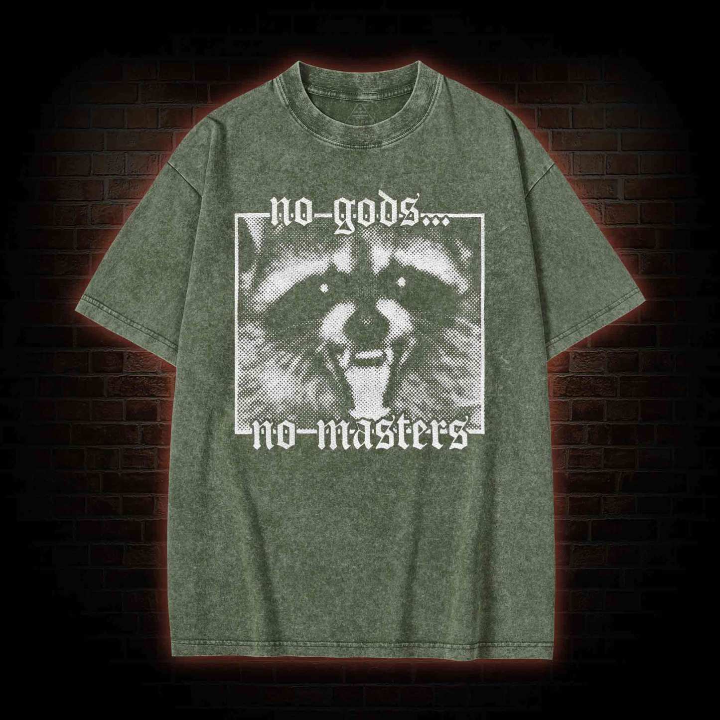 No Gods No Masters Raccoon Washed T-shirt