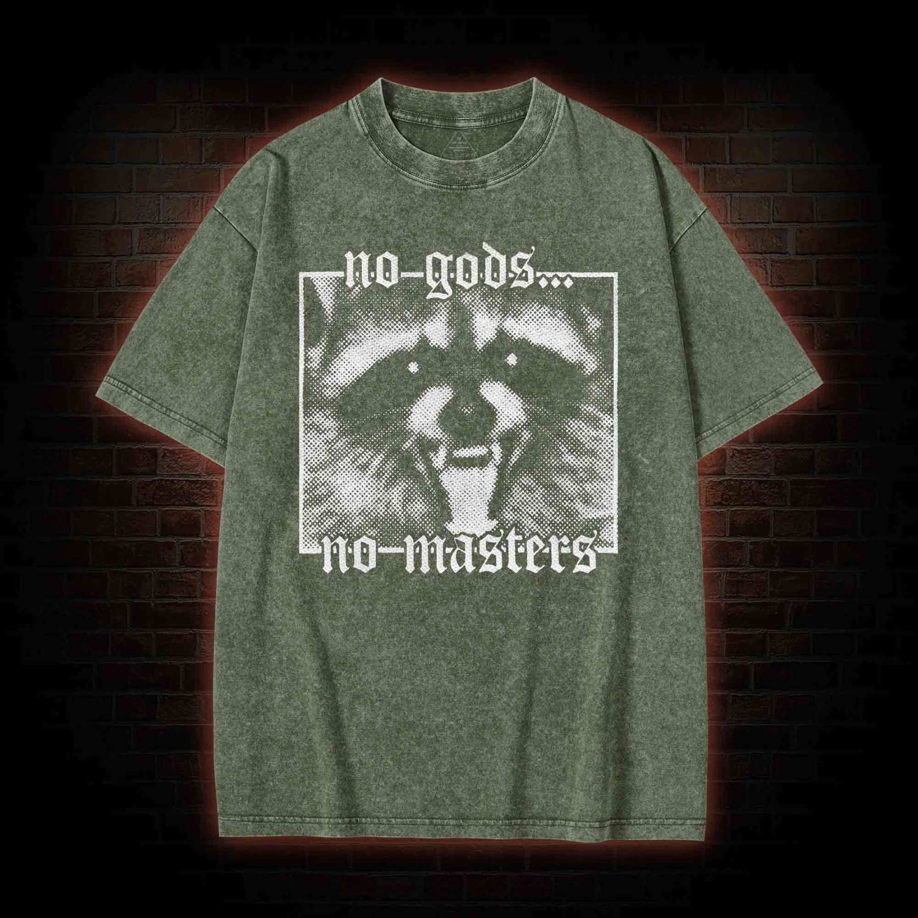 No Gods No Masters Raccoon Washed T-shirt