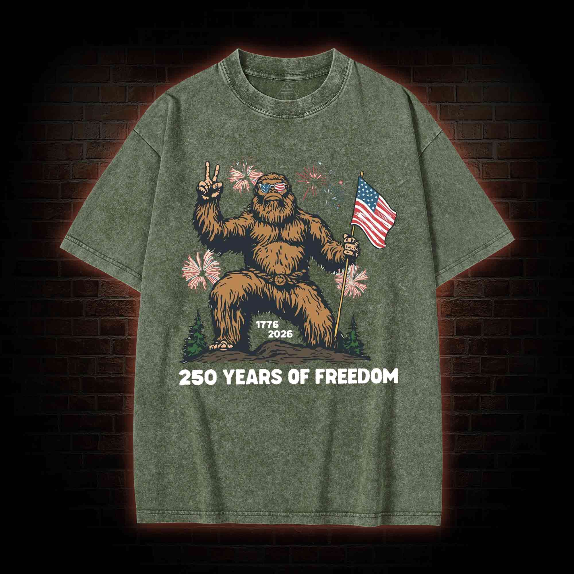 250 Years of Freedom Washed T-shirt