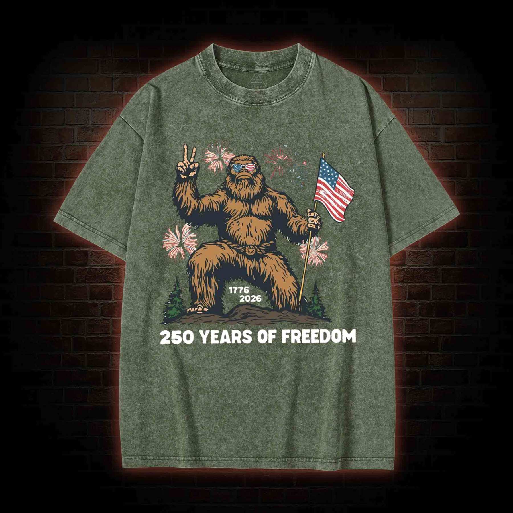 250 Years of Freedom Washed T-shirt