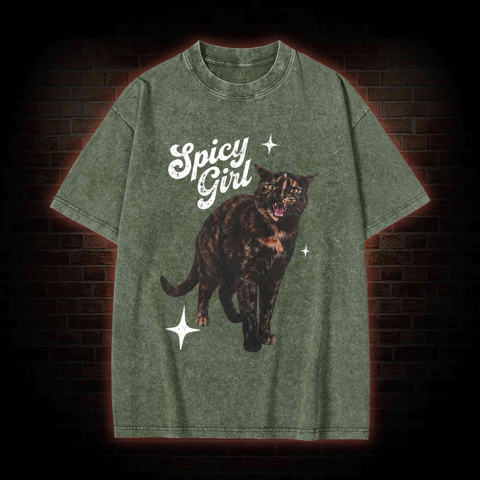 Spicy Girl Washed T-shirt